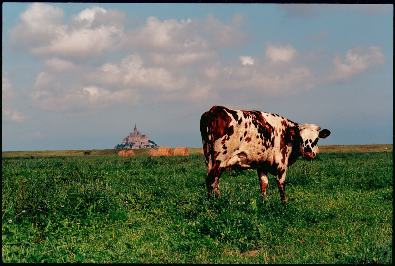 1500x1011 Larzfoto