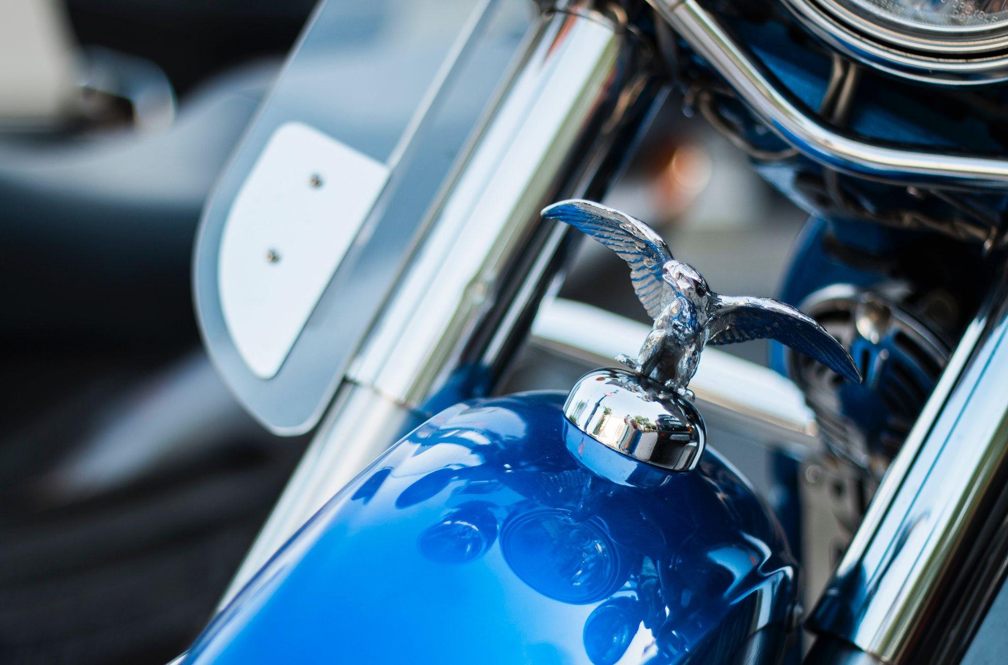 2048x1351 Harley Davidson Emblem on Top Front of Blue Motorcycle · Free Stock
