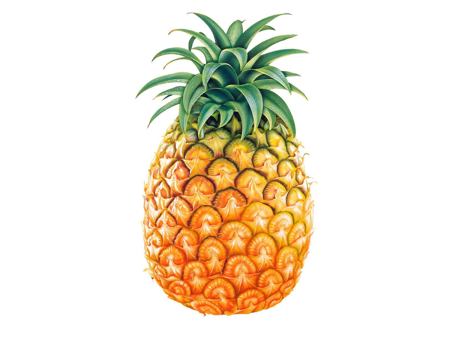 1600x1200 Free download pineapple background tumblr pineapple printjpg