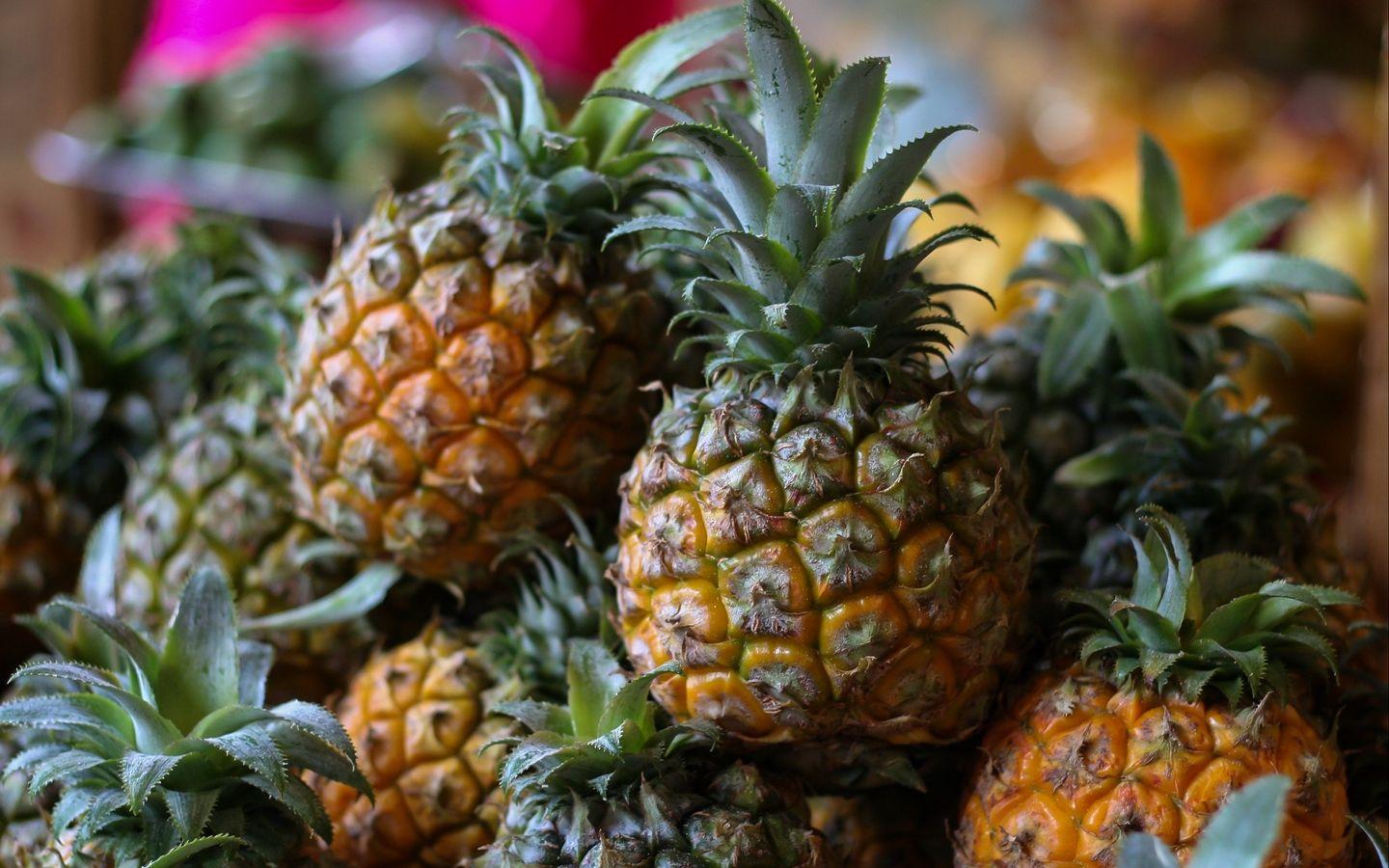 1440x900 Pineapple Background « Firefox Wallpaper « Free Download