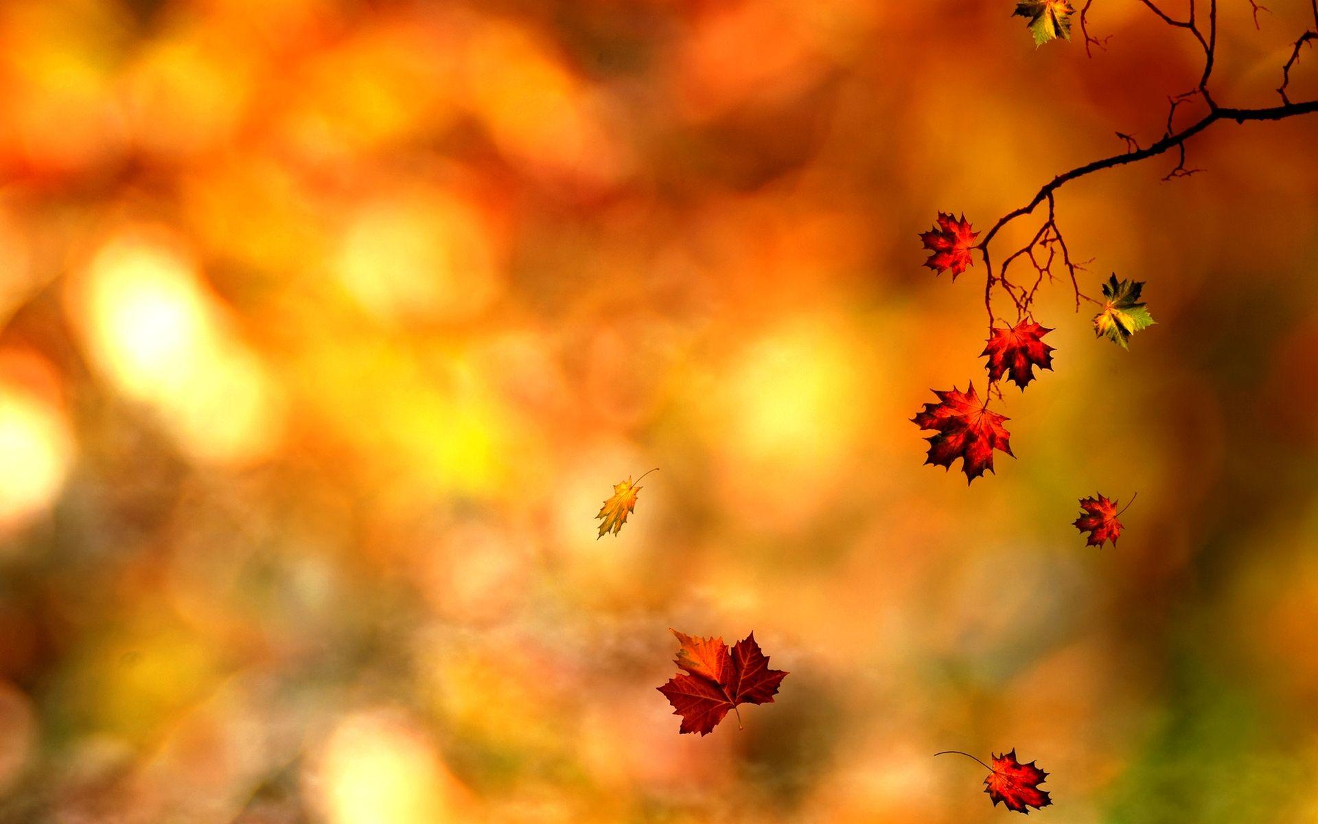 Autumn Abstract Wallpapers - Top Free Autumn Abstract Backgrounds - WallpaperAccess