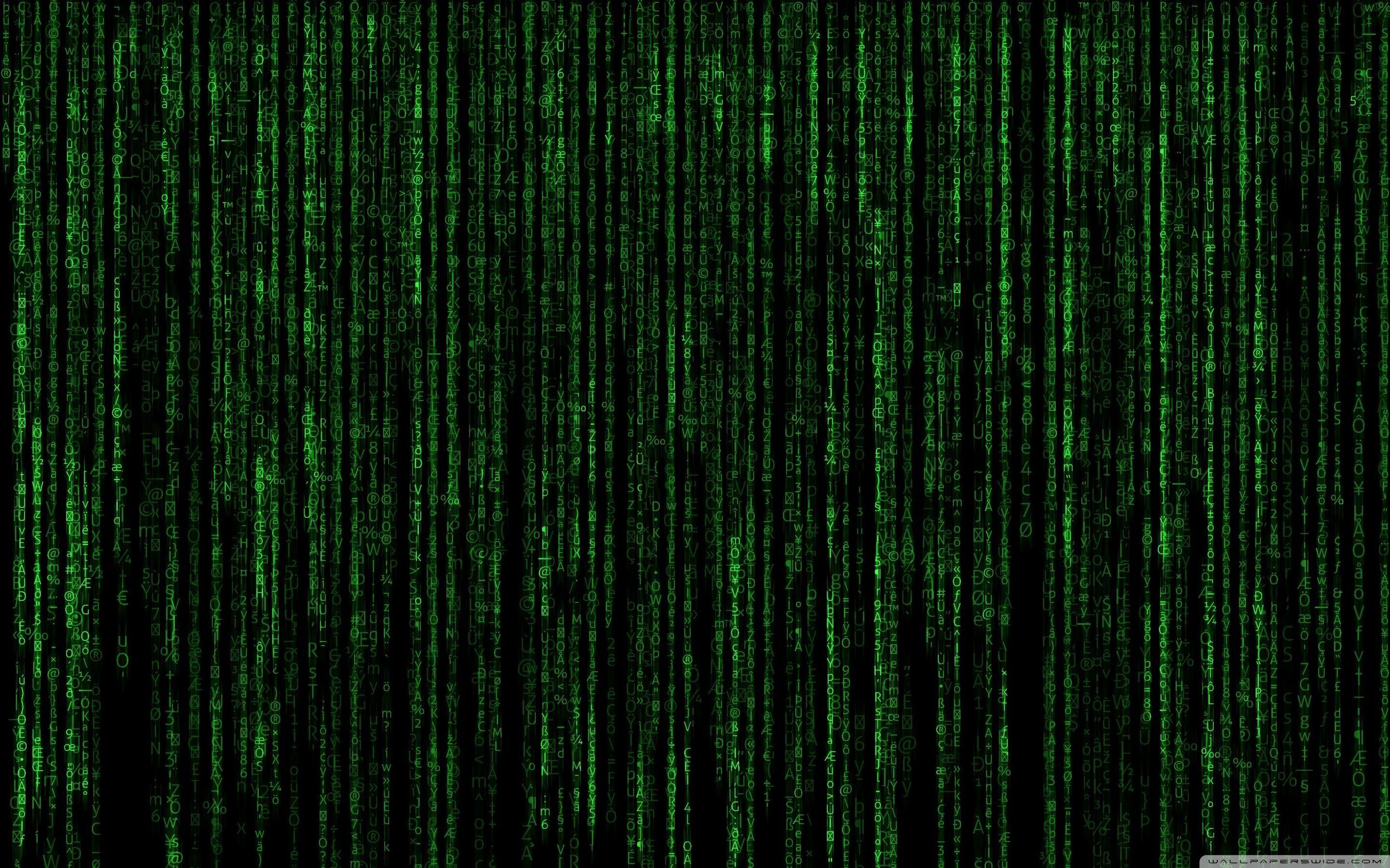Matrix Wallpapers Top Free Matrix Backgrounds Wallpaperaccess