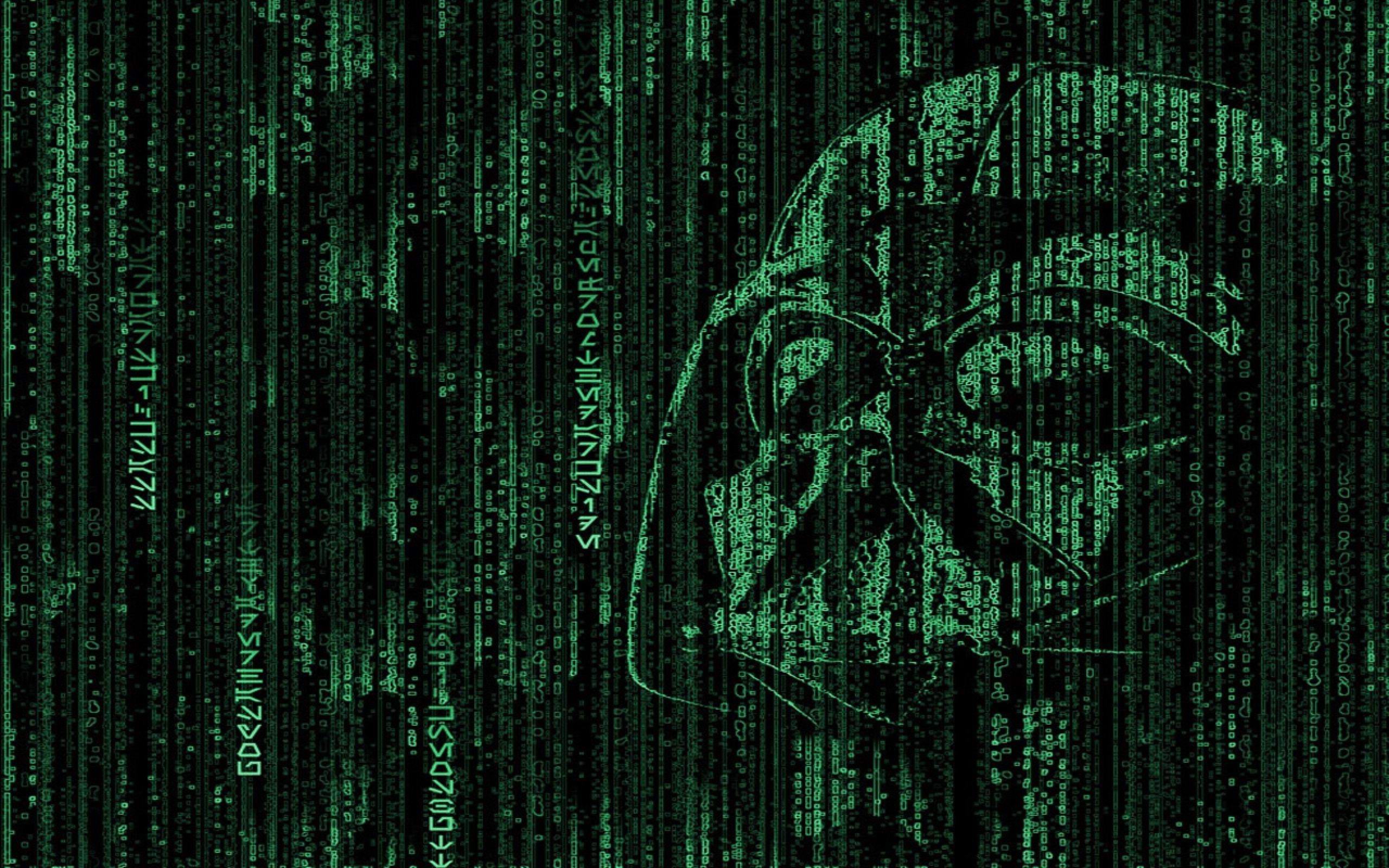 2560x1600 VK.445: Matrix Wallpaper (2560x1600)