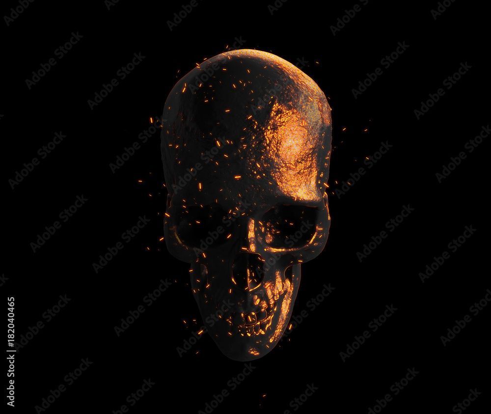 1000x843 burned skull wallpaper 3D illustration