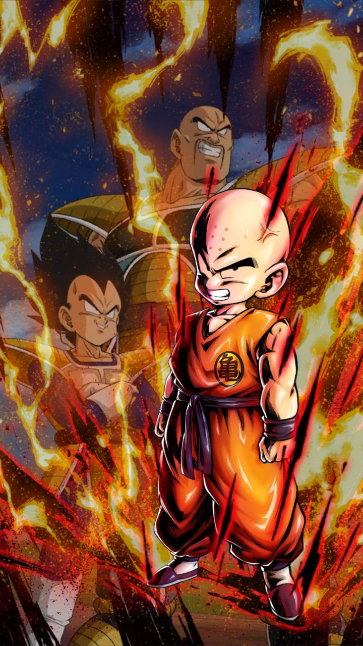 720x1280 Dragon Ball Super Krillin Wallpaper