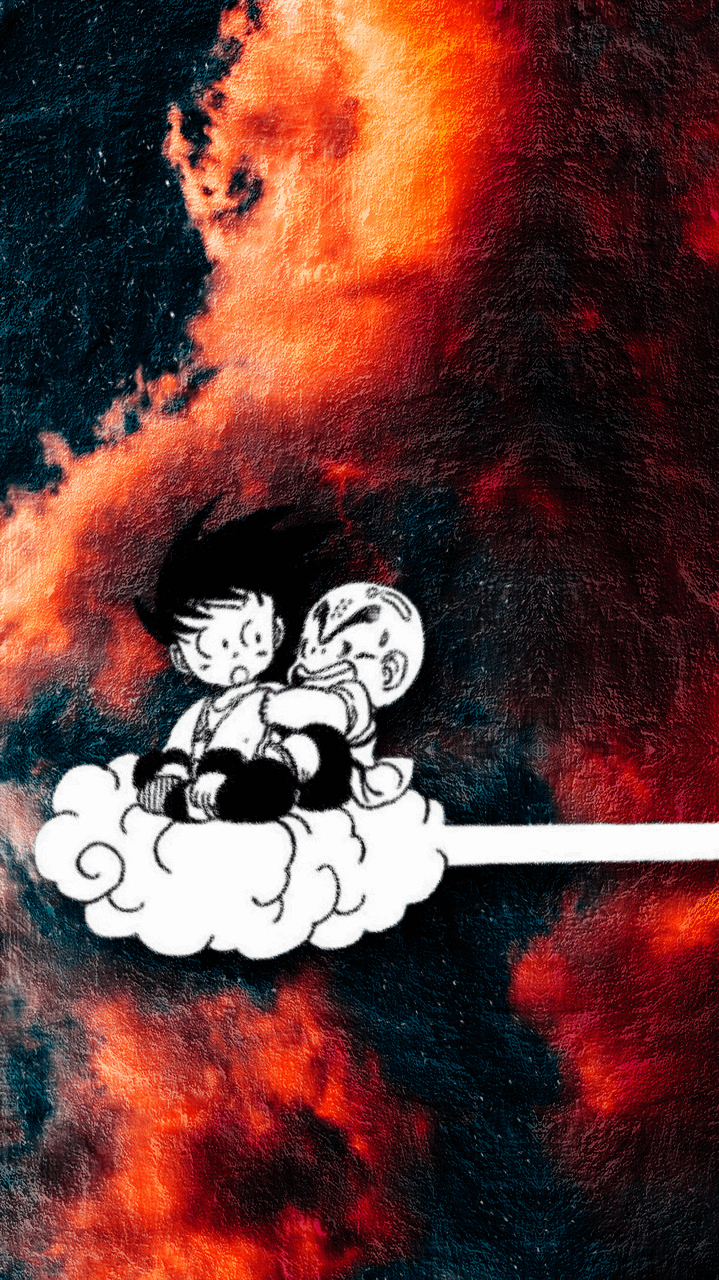 719x1280 Dragon Ball : Goku & Krillin Wallpaper
