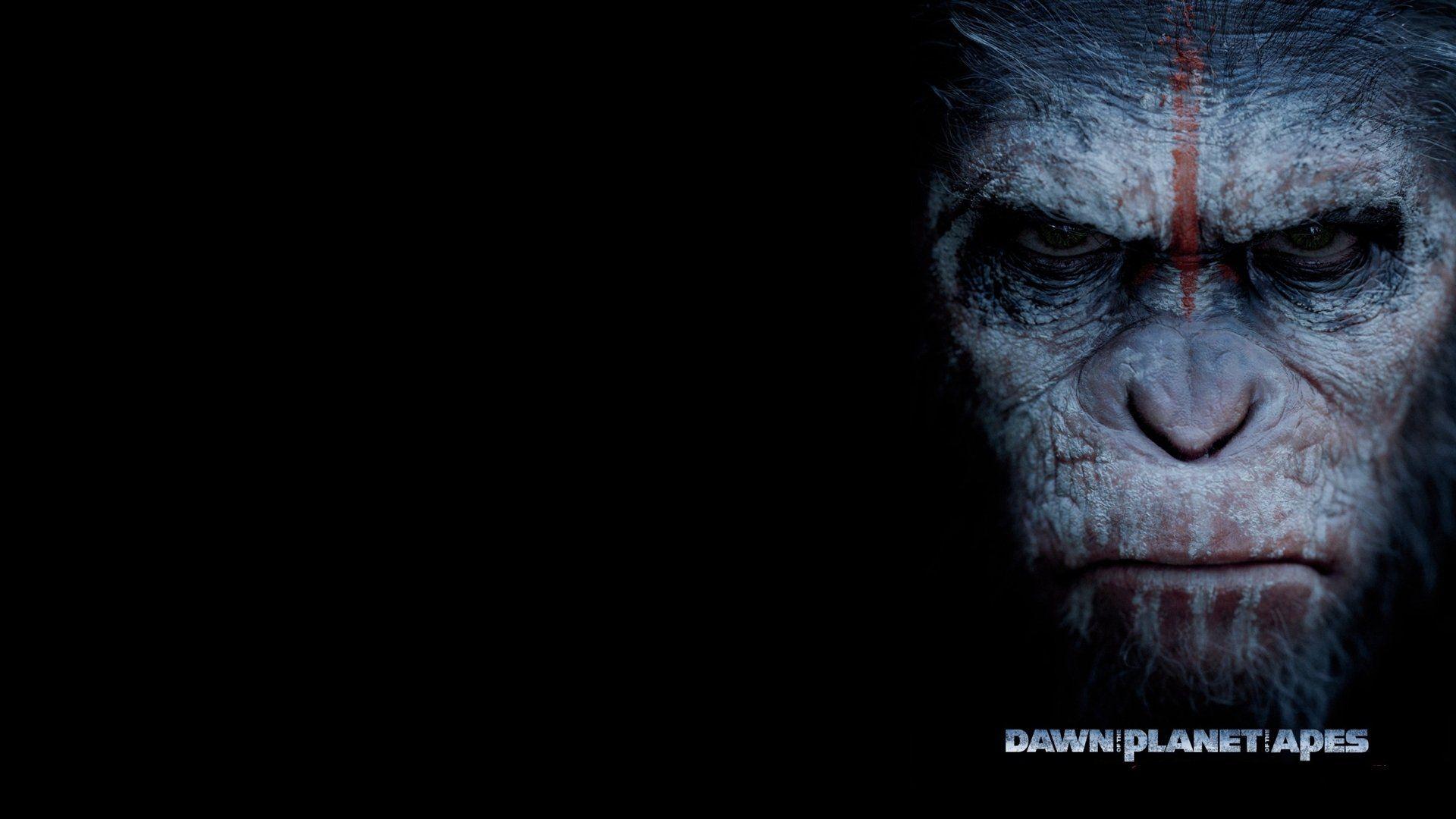HD wallpaper Movie Dawn of the Planet of the Apes Andy Serkis Caesar  Planet of the Apes  Wallpaper Flare