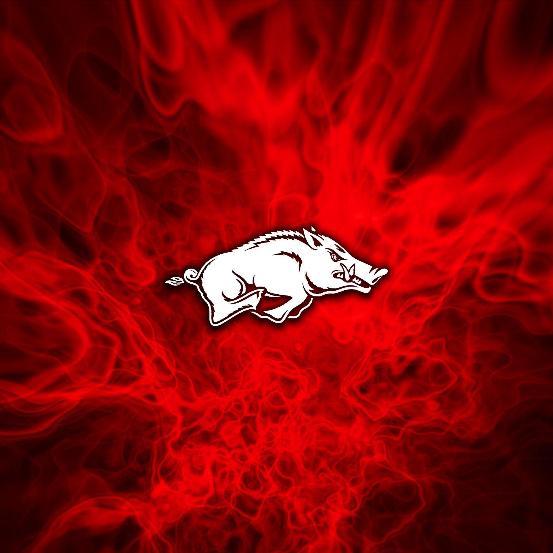 1920x1920 Razorback Wallpaper