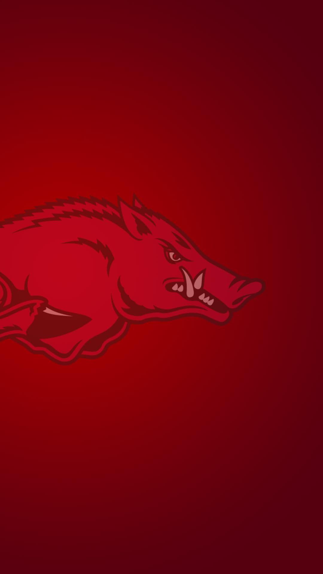 Get a Set of 12 Officially NCAA Licensed Arkansas Razorbacks iPhone  Wallpapers sized precisely for any model of iPhone with your Teams Exact  Digital Logo and T