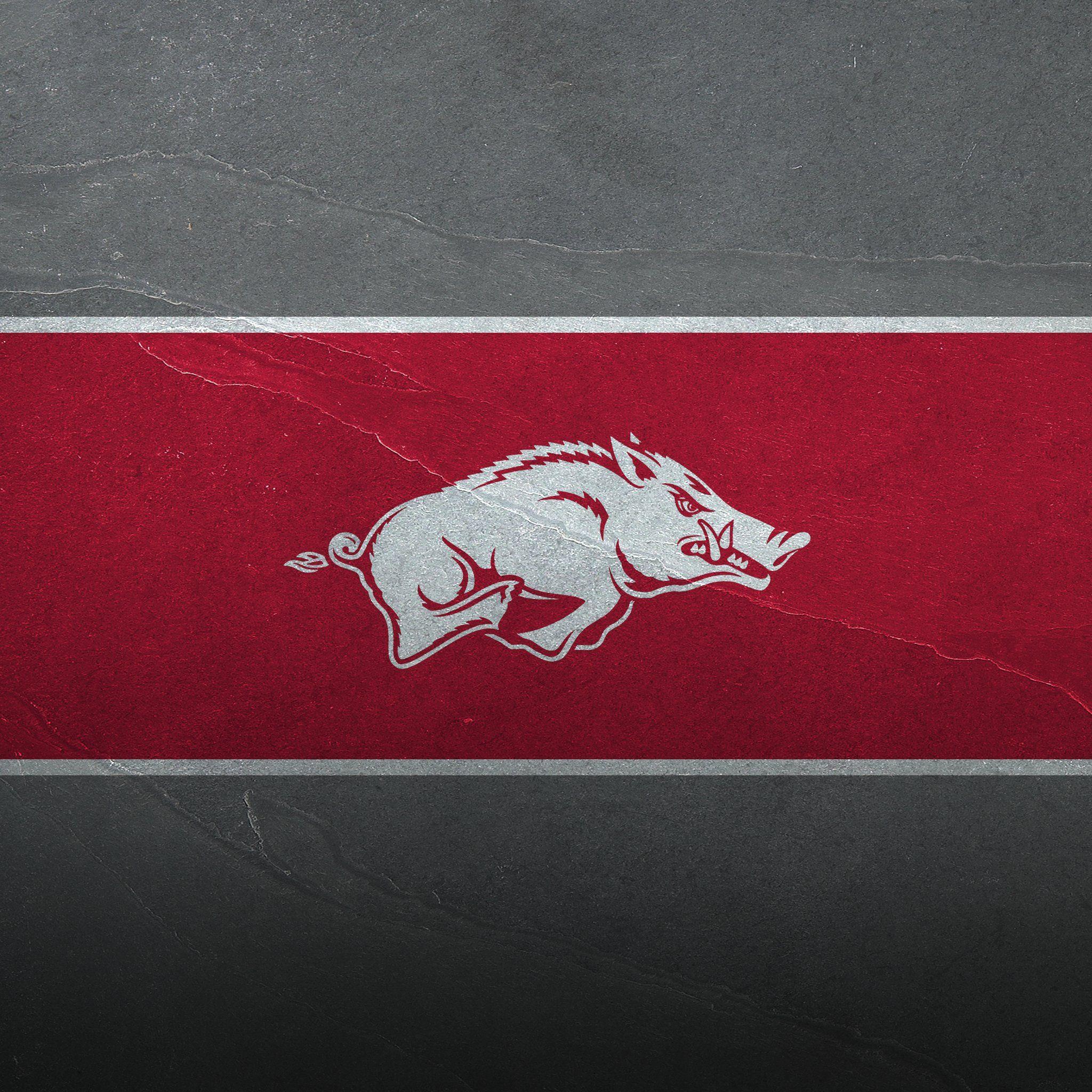 2048x2048 Arkansas Razorback Wallpaper for iPhone
