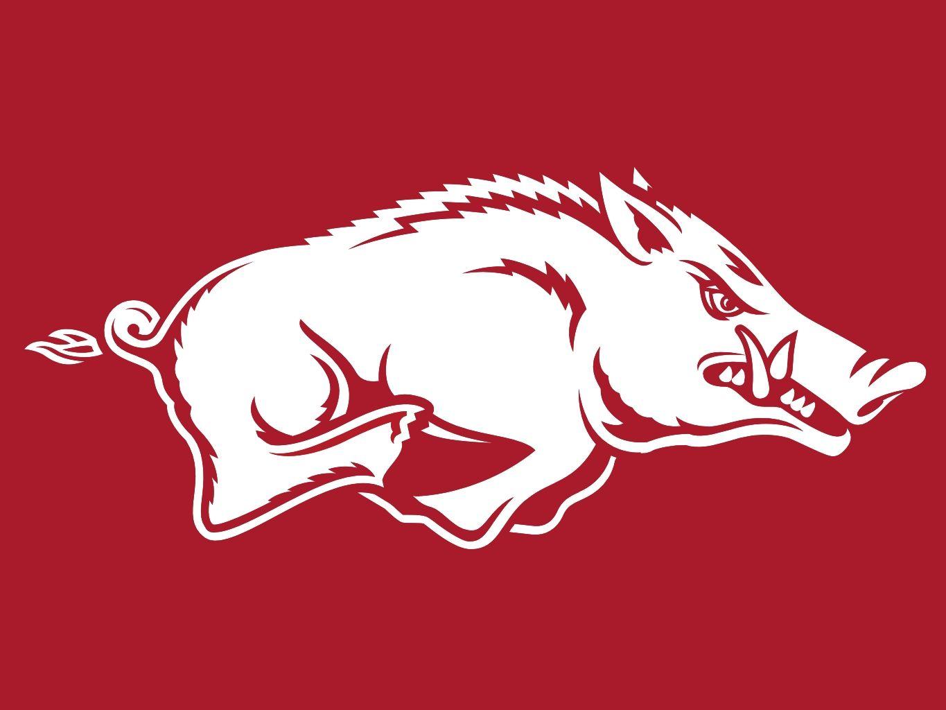 1365x1024 Arkansas Razorback Wallpaper