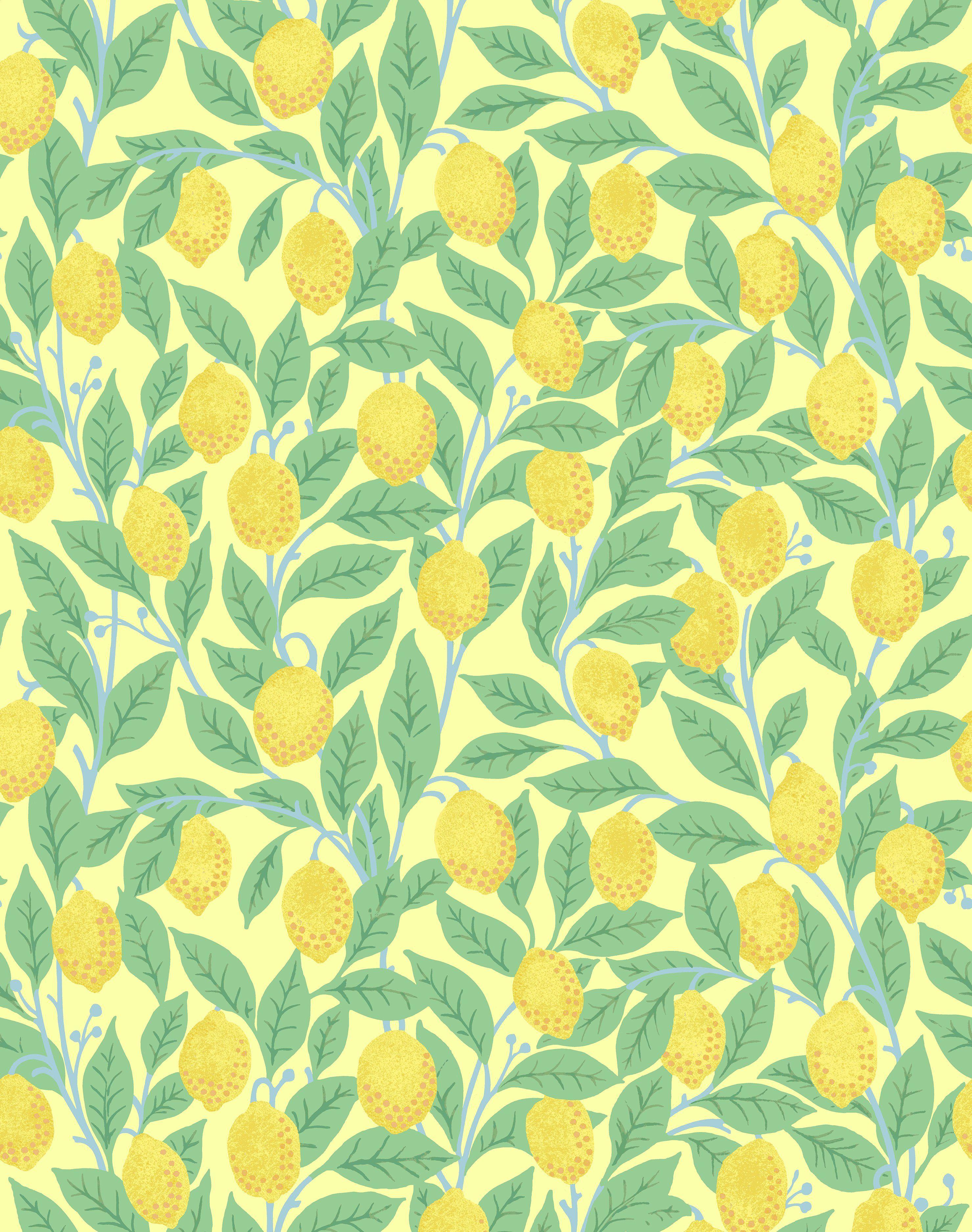2958x3750 Lemons Wallpaper
