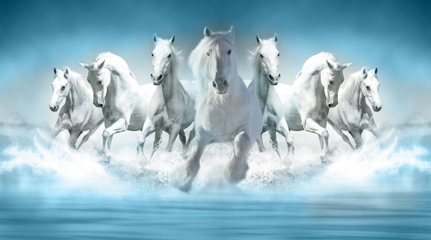 1500x838 3D Wallpaper Seven Horses Running Wall