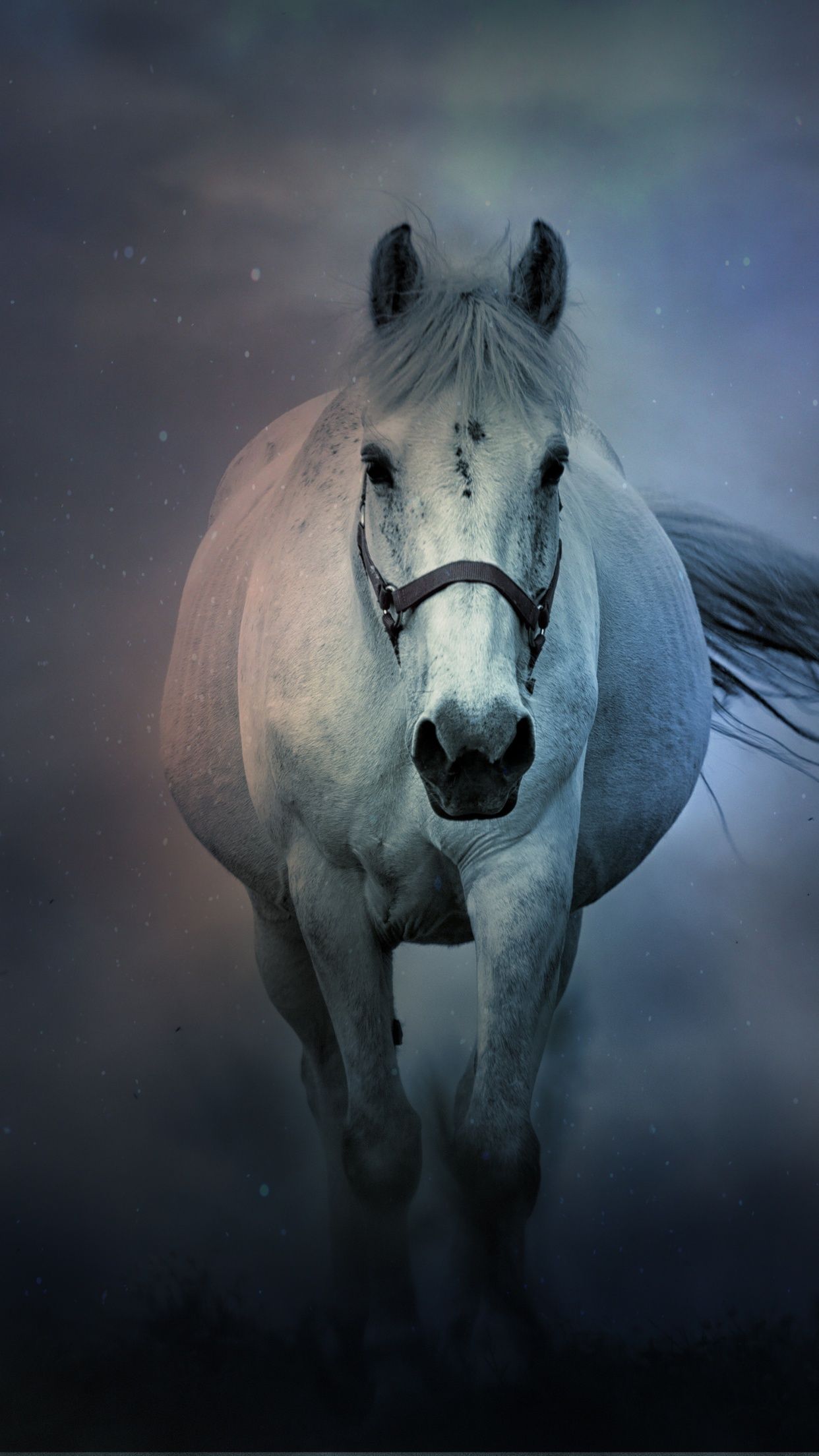1242x2208 White horse Wallpaper 4K, Running Horse