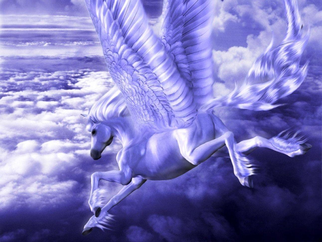 Pegasus beautiful HD wallpapers  Pxfuel