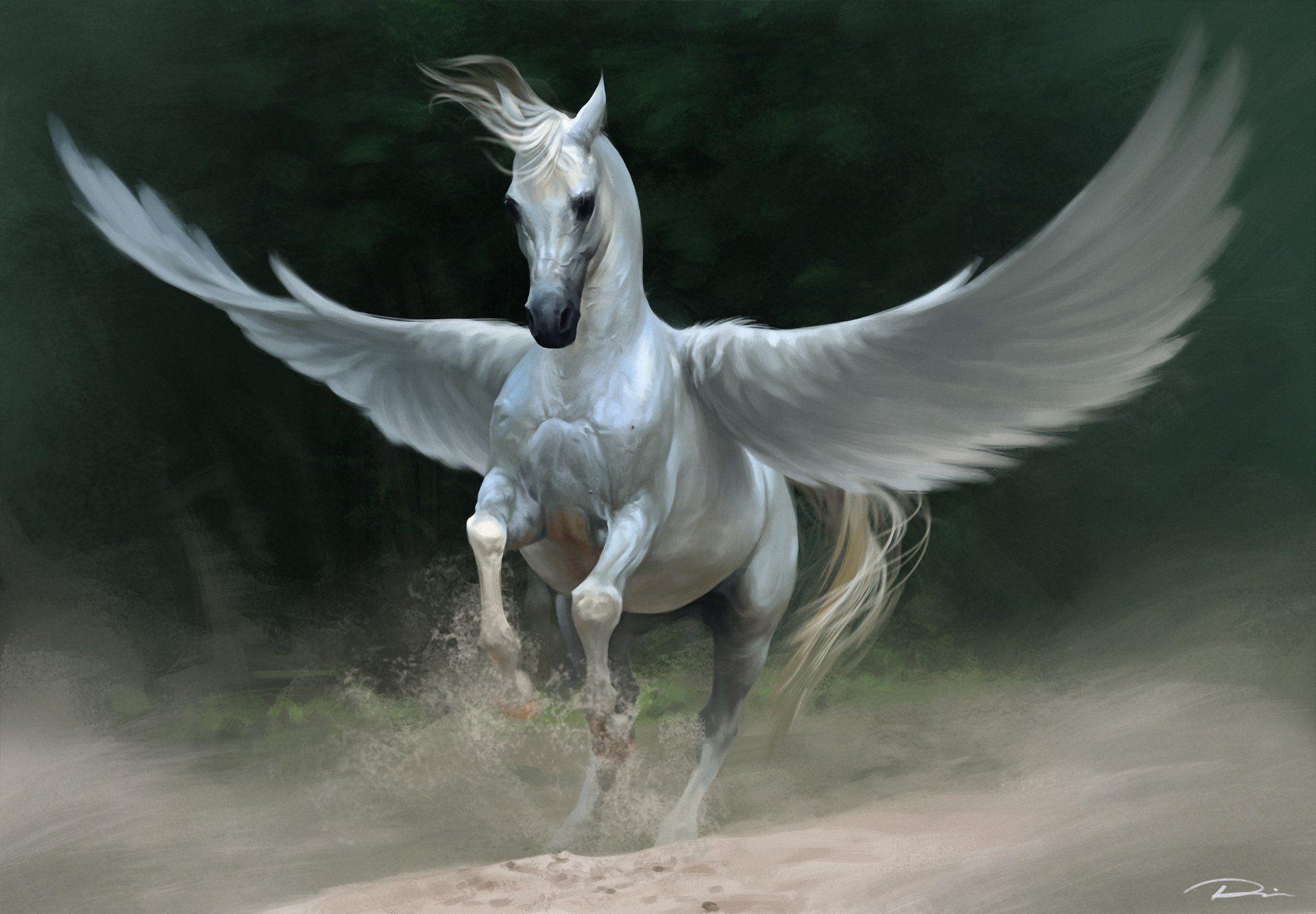 1920x1334 Pegasus HD Wallpaper and Background Image