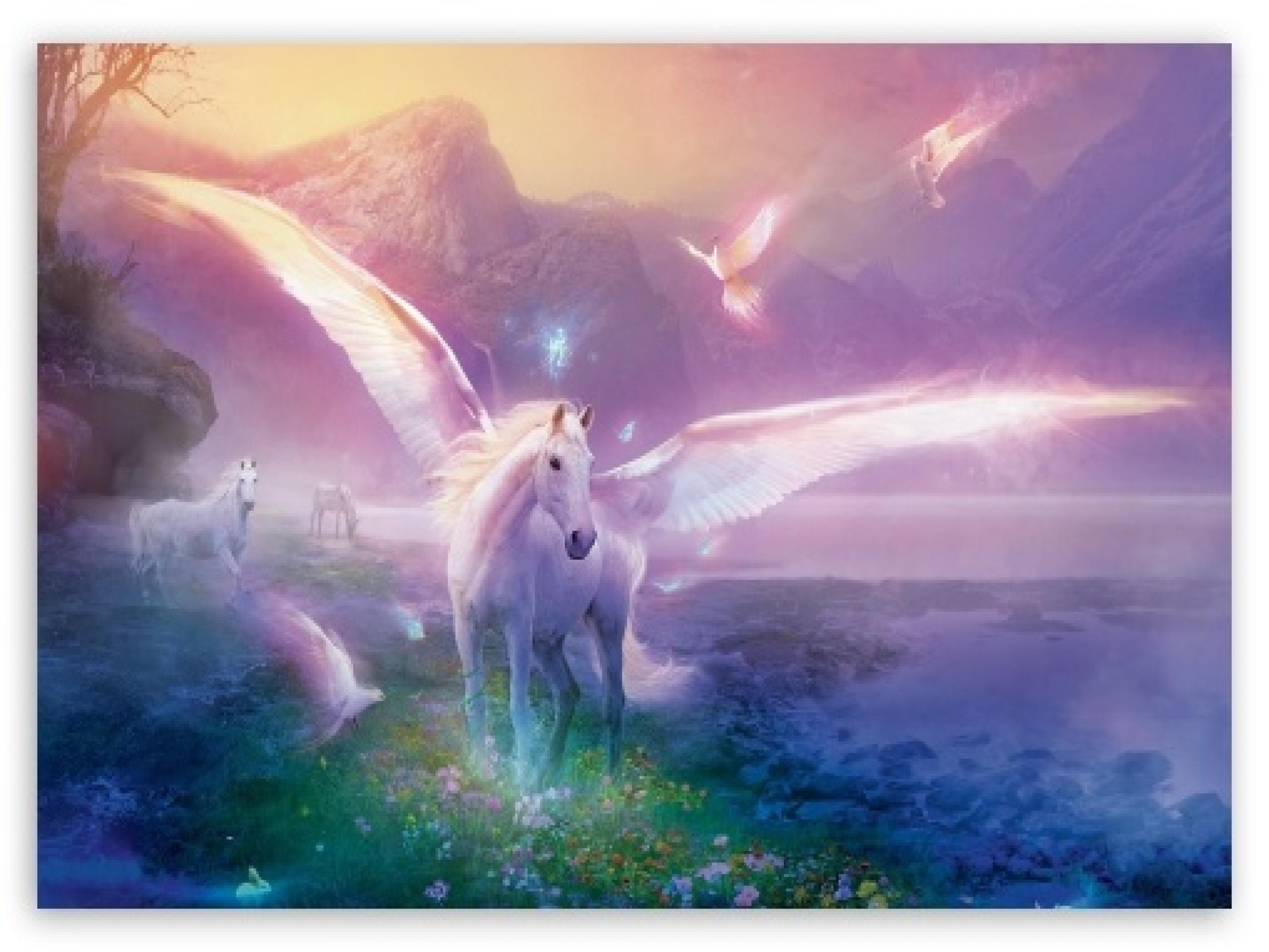 Fantasy Pegasus HD Wallpaper by Golphee