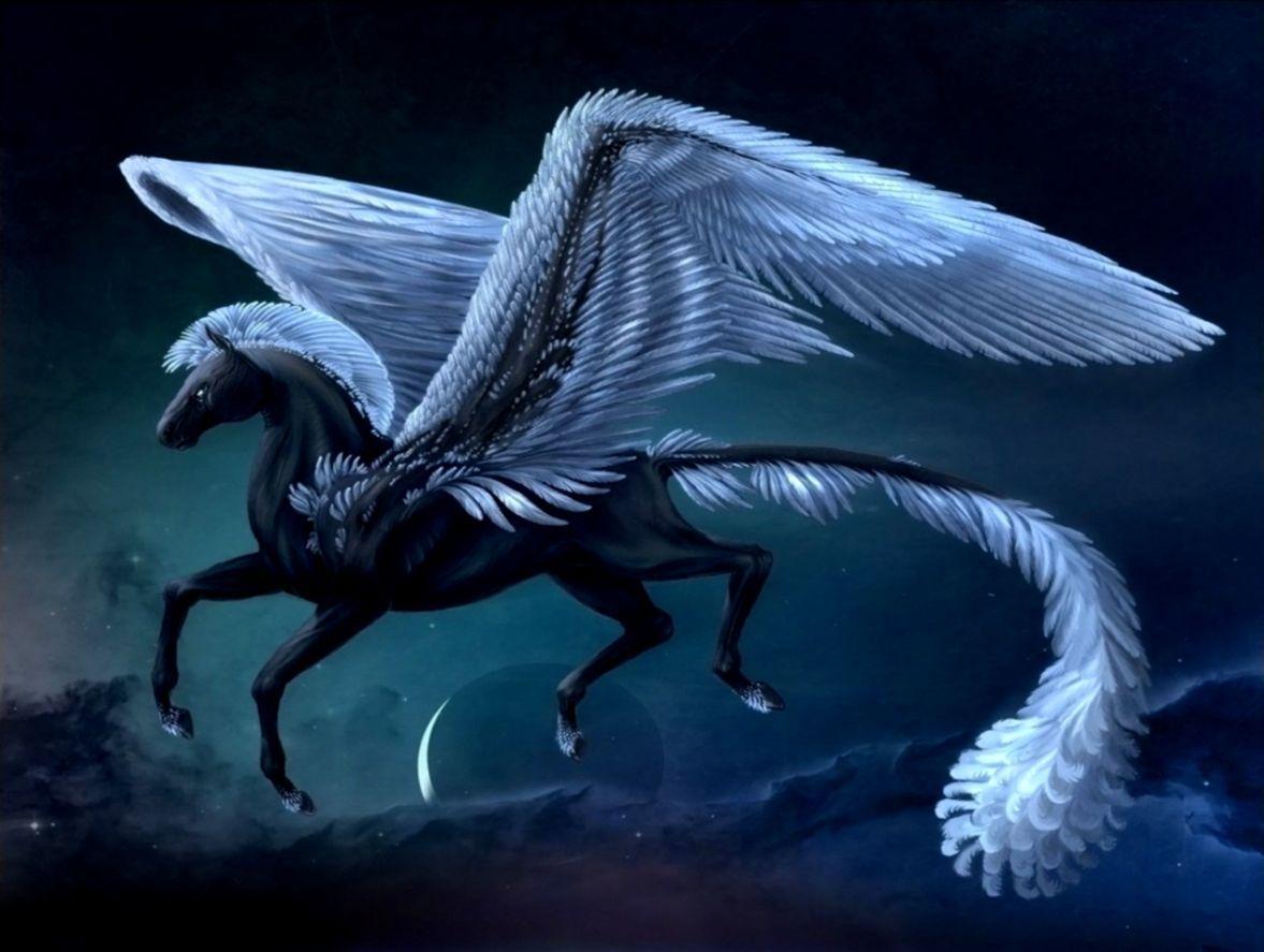 1177x887 Black Pegasus Wallpaper HD