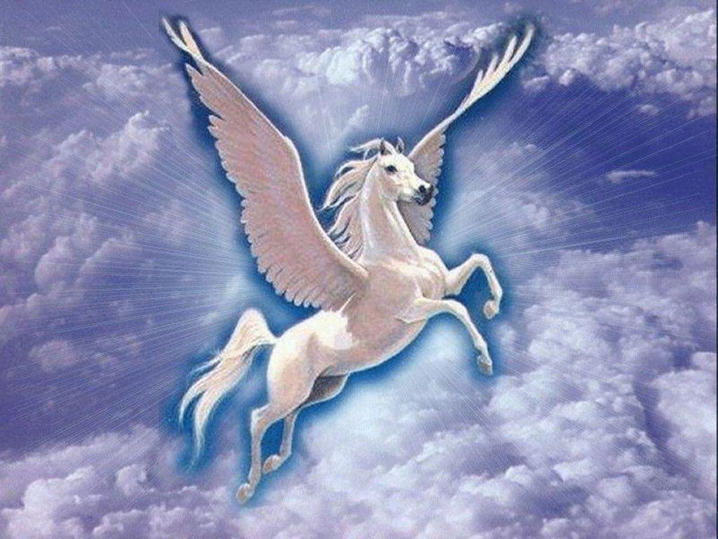 1024x768 White Pegasus Wallpaper HD Resolution