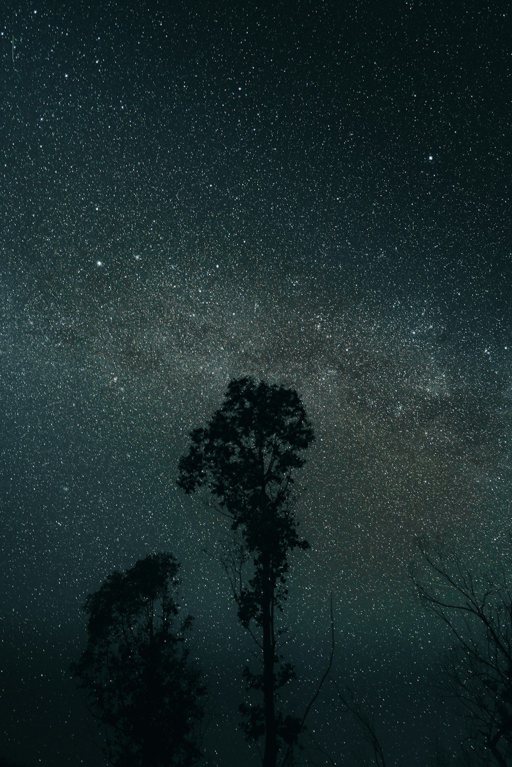 1000x1499 Existential Picture. Download Free