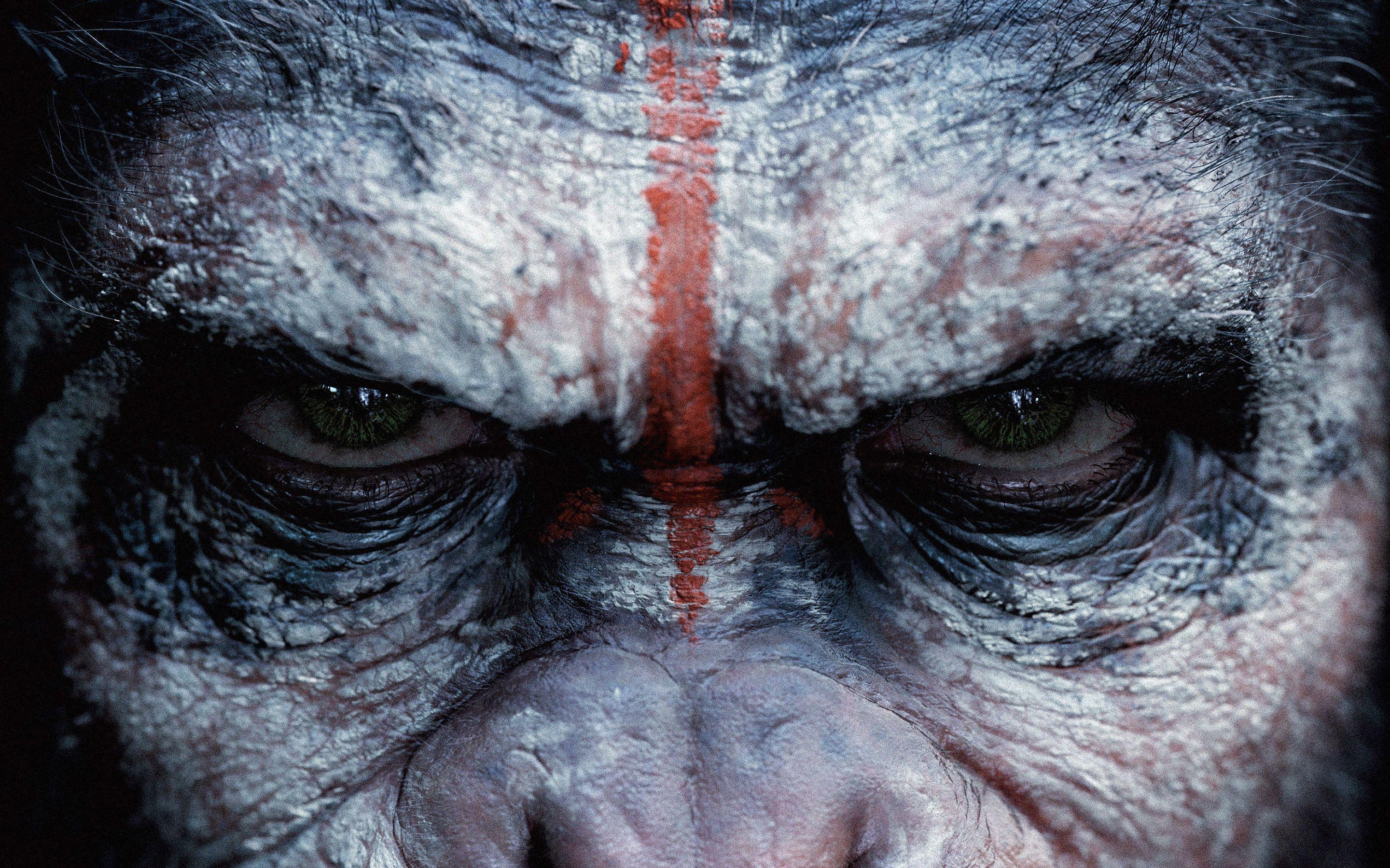 2880x1800 War For The Planet Of The Apes Wallpaper and Background Image