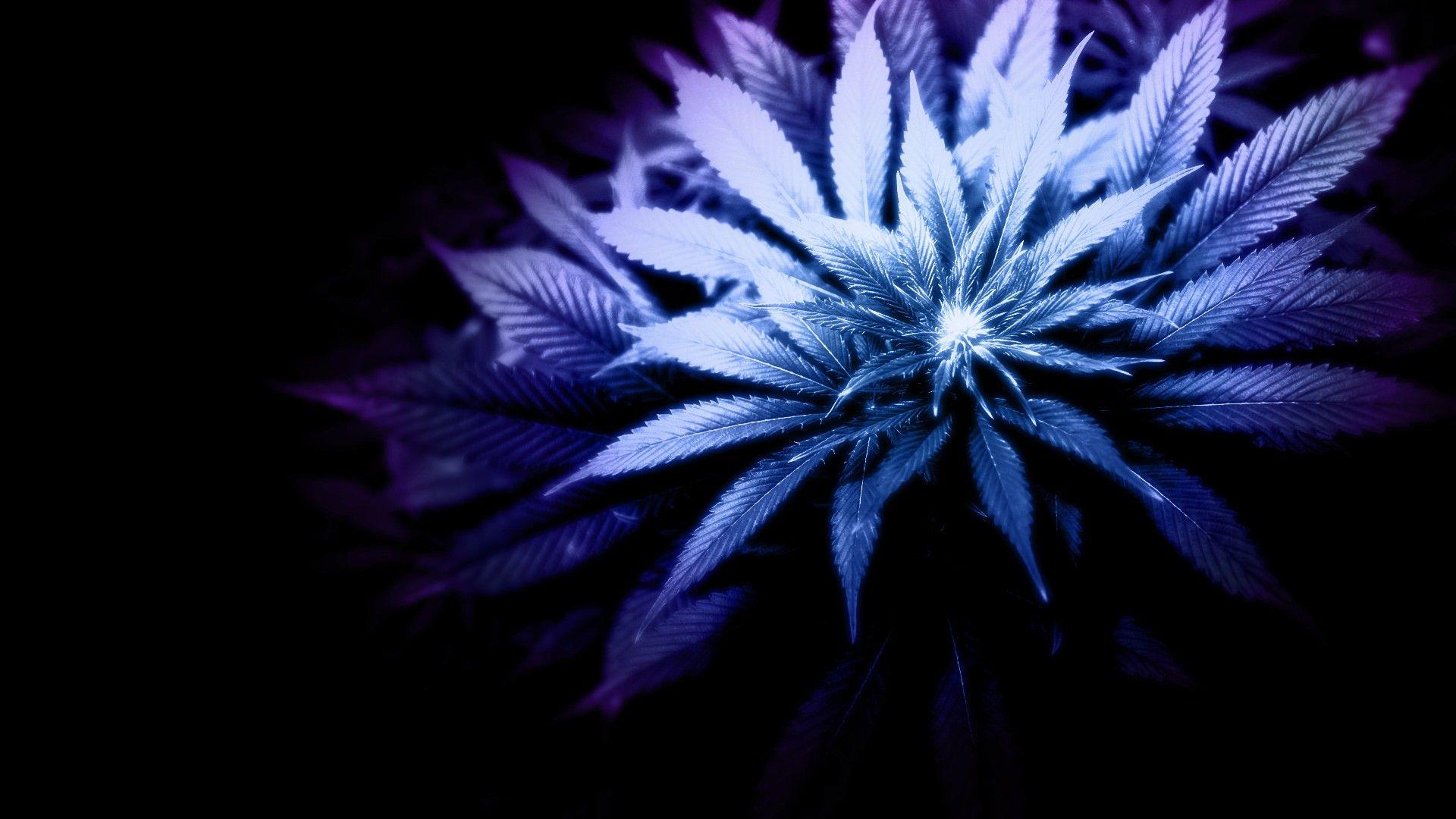 420 Wallpapers - Top Free 420 Backgrounds - WallpaperAccess