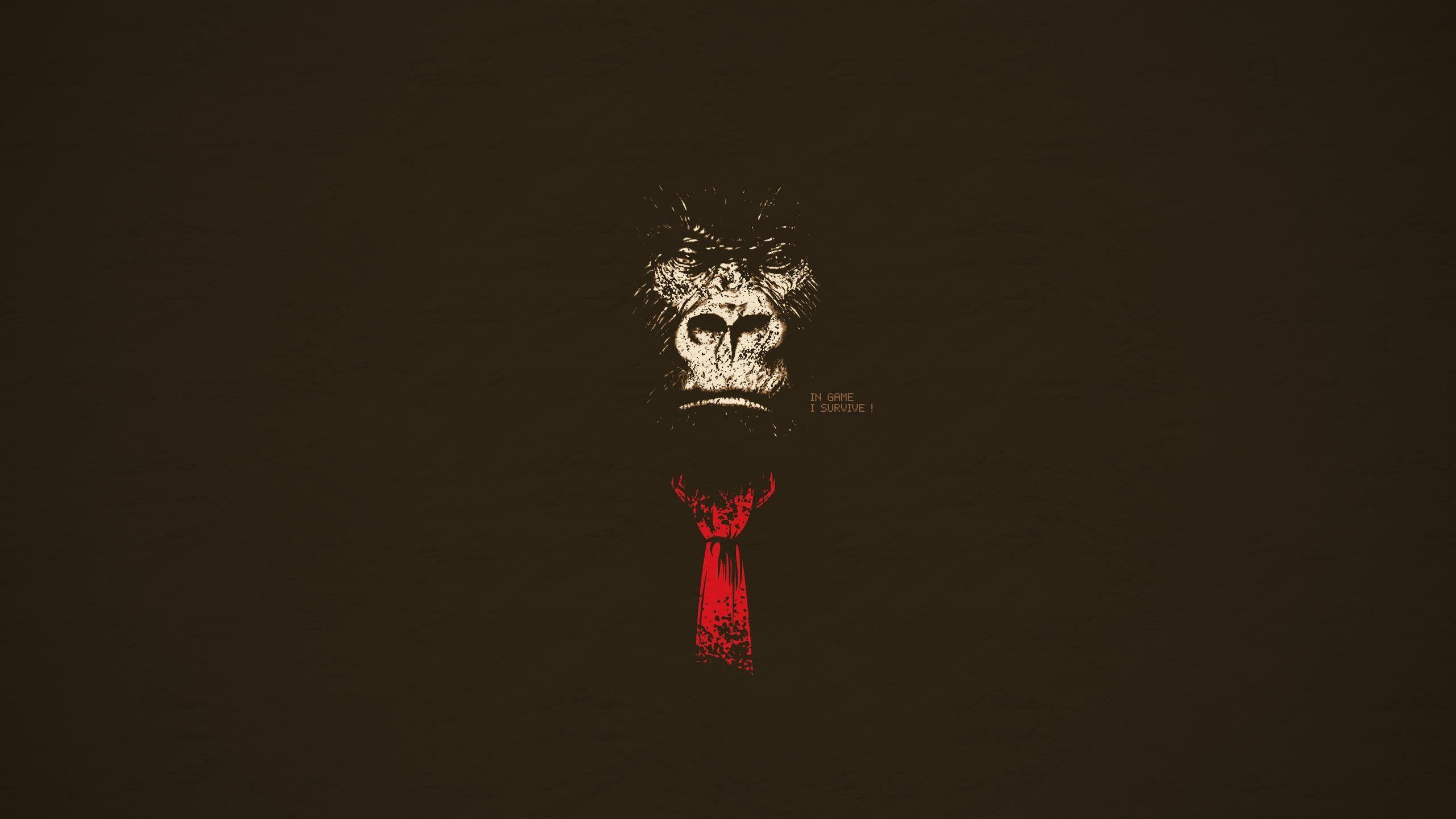 2560x1440 Donkey Kong, #minimalism, #dark. Wallpaper No. 414156