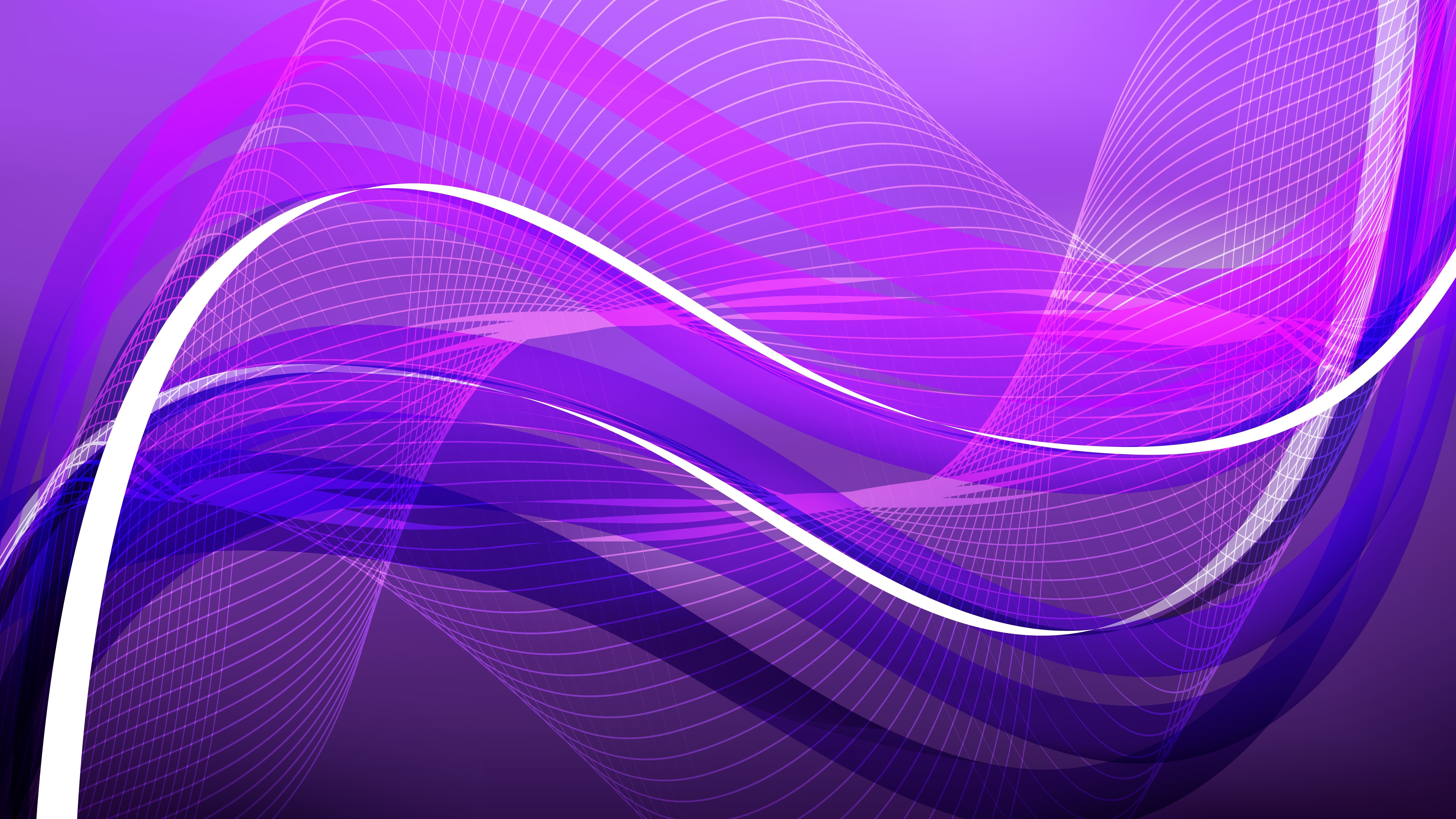 8000x4500 Free Abstract Dark Purple Flowing Lines