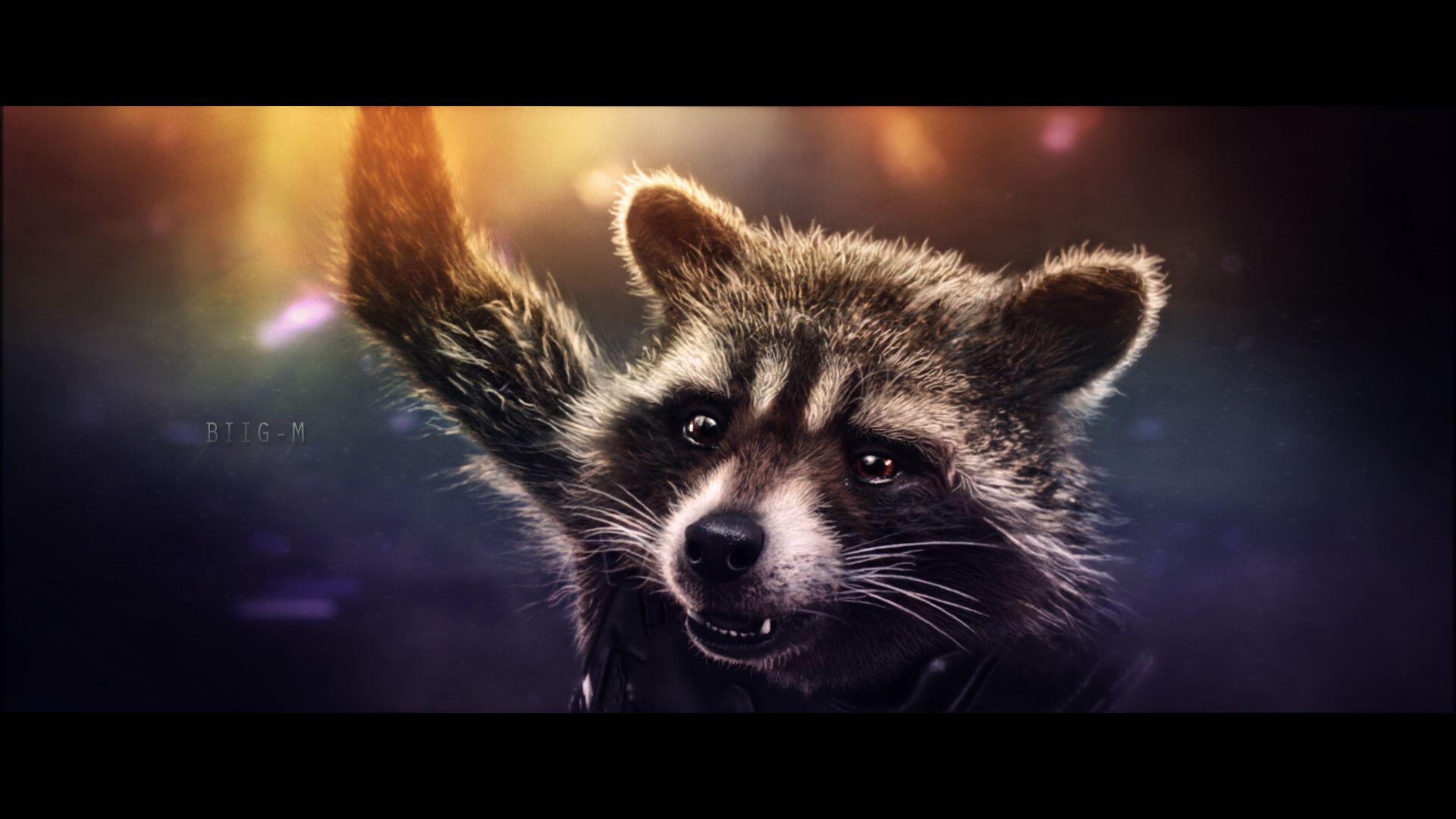 1920x1080 Rocket Raccoon Wallpaper IAWWE