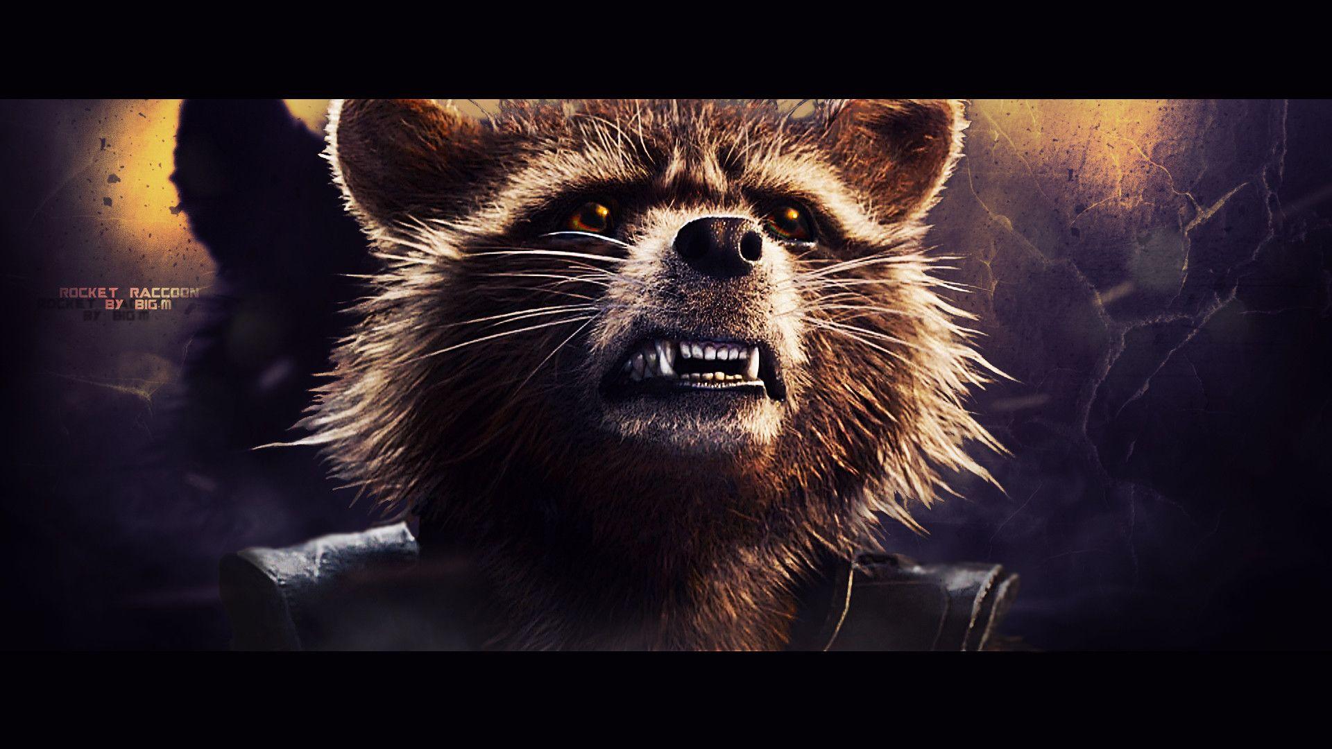 1920x1080 Rocket Raccoon Wallpaper background picture