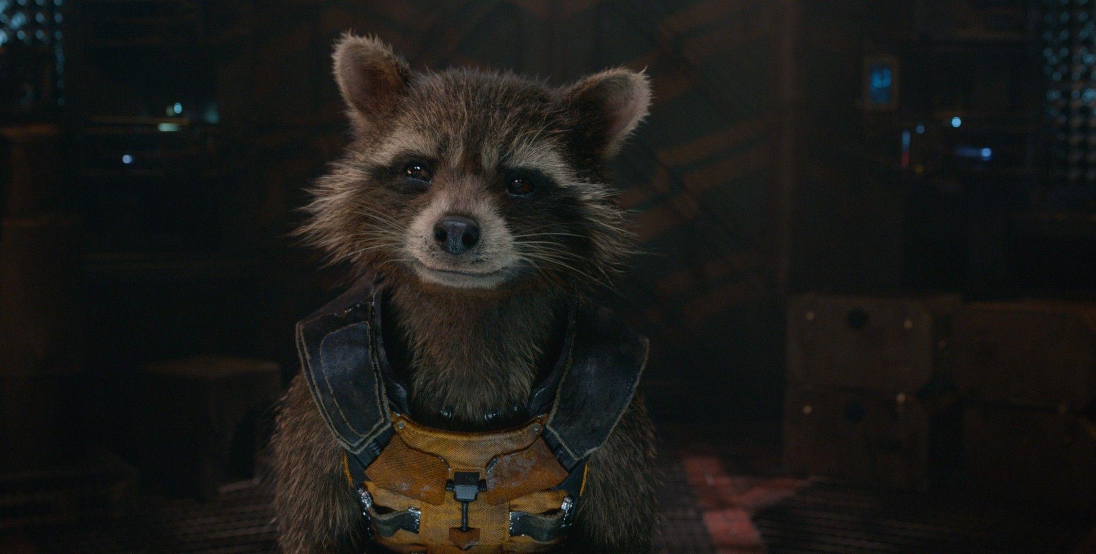 2137x1080 guardians of the galaxy rocket raccoon .