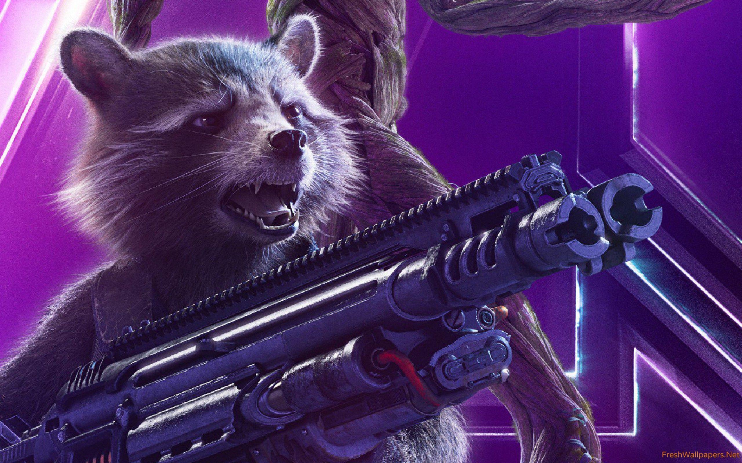 2560x1600 Rocket Raccoon In Avengers Infinity War New Poster wallpaper