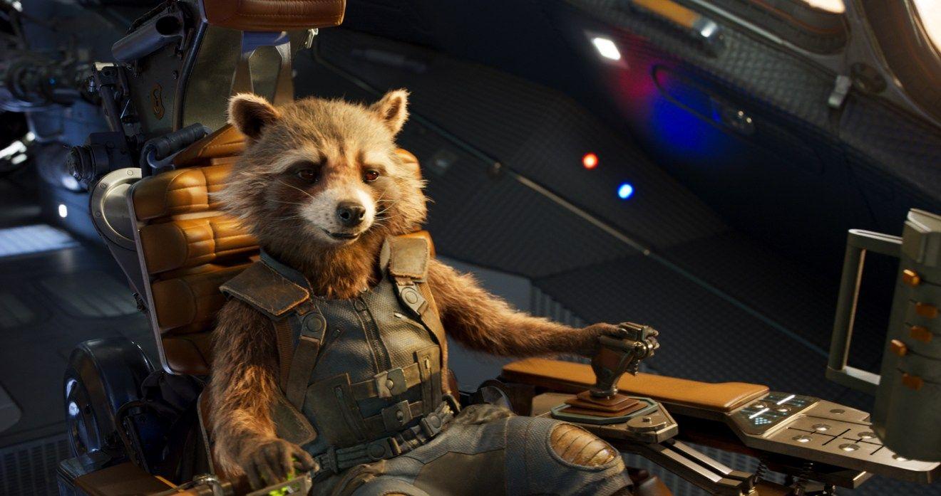 1320x697 Wallpaper of the Day Raccoon