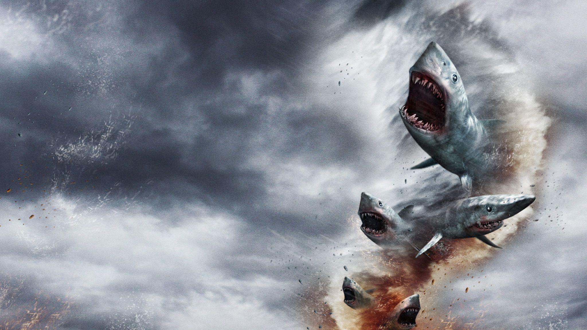 Sharknado Wallpapers - Top Free Sharknado Backgrounds - WallpaperAccess