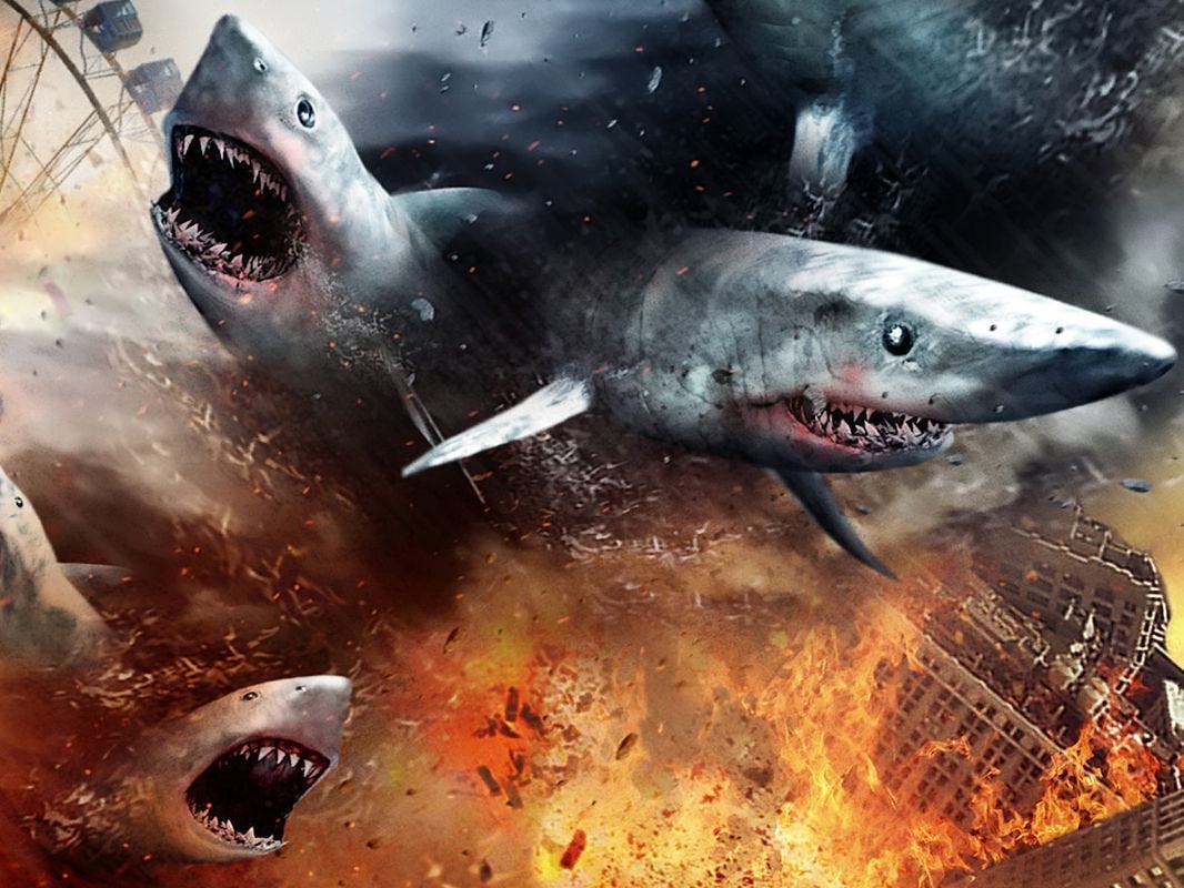 Sharknado Wallpapers - Top Free Sharknado Backgrounds - WallpaperAccess