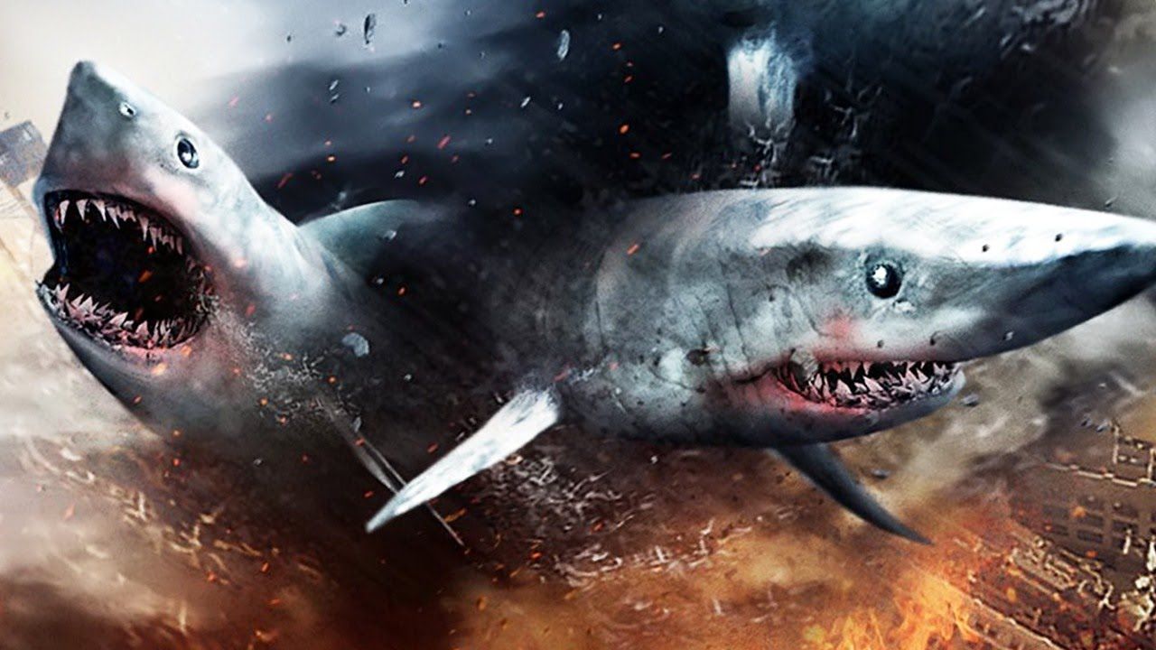 Sharknado Wallpapers - Top Free Sharknado Backgrounds - WallpaperAccess