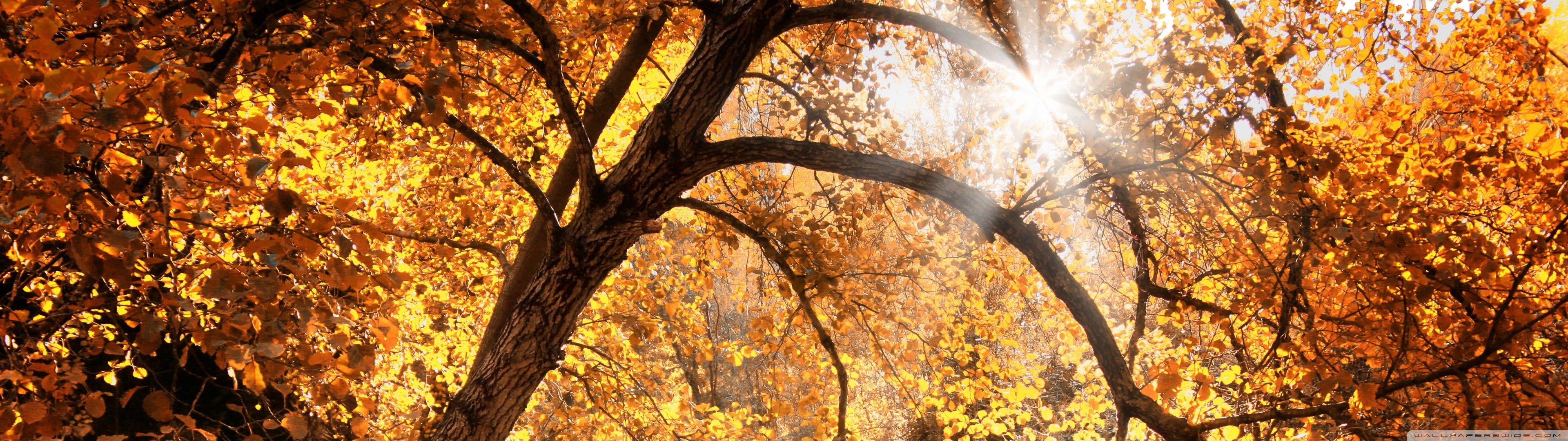 Dual Monitor Autumn Wallpapers - Top Free Dual Monitor Autumn