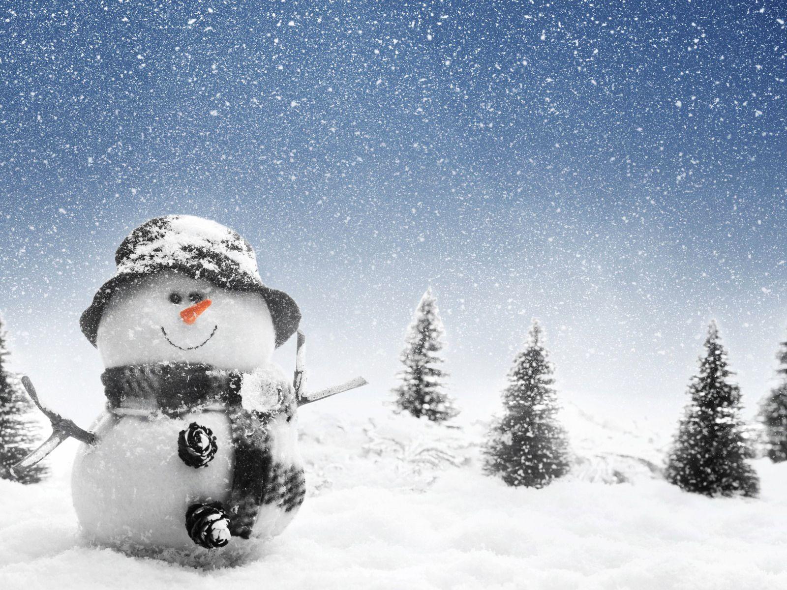 1600x1200 Cute Winter Wallpaper