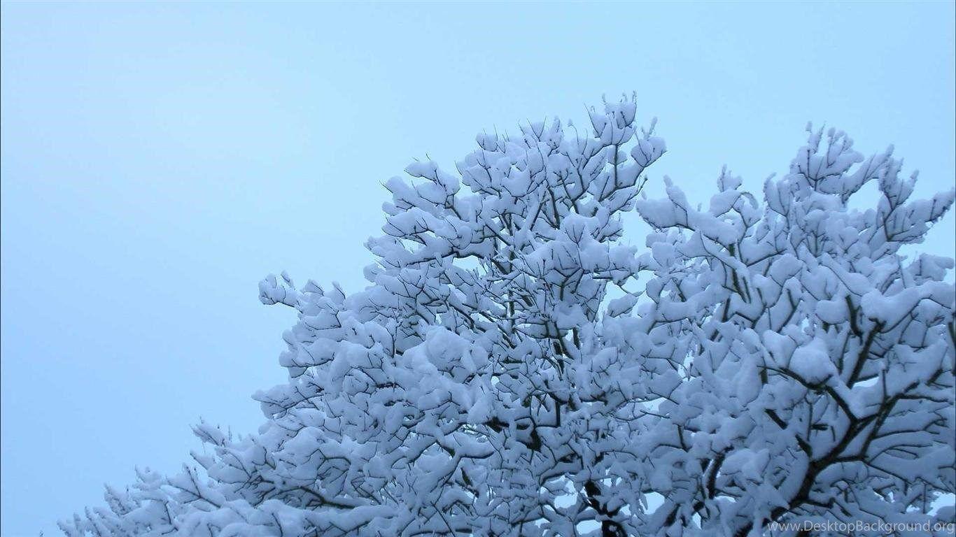 1366x768 Cute Winter Wallpaper Desktop Background