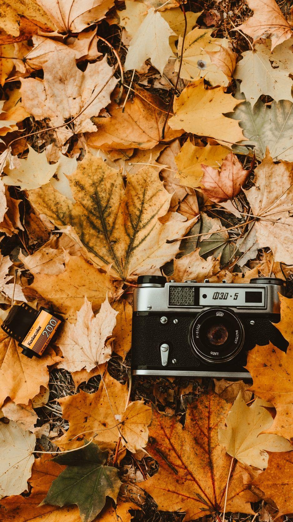 Vintage Autumn Wallpapers - Top Free Vintage Autumn Backgrounds
