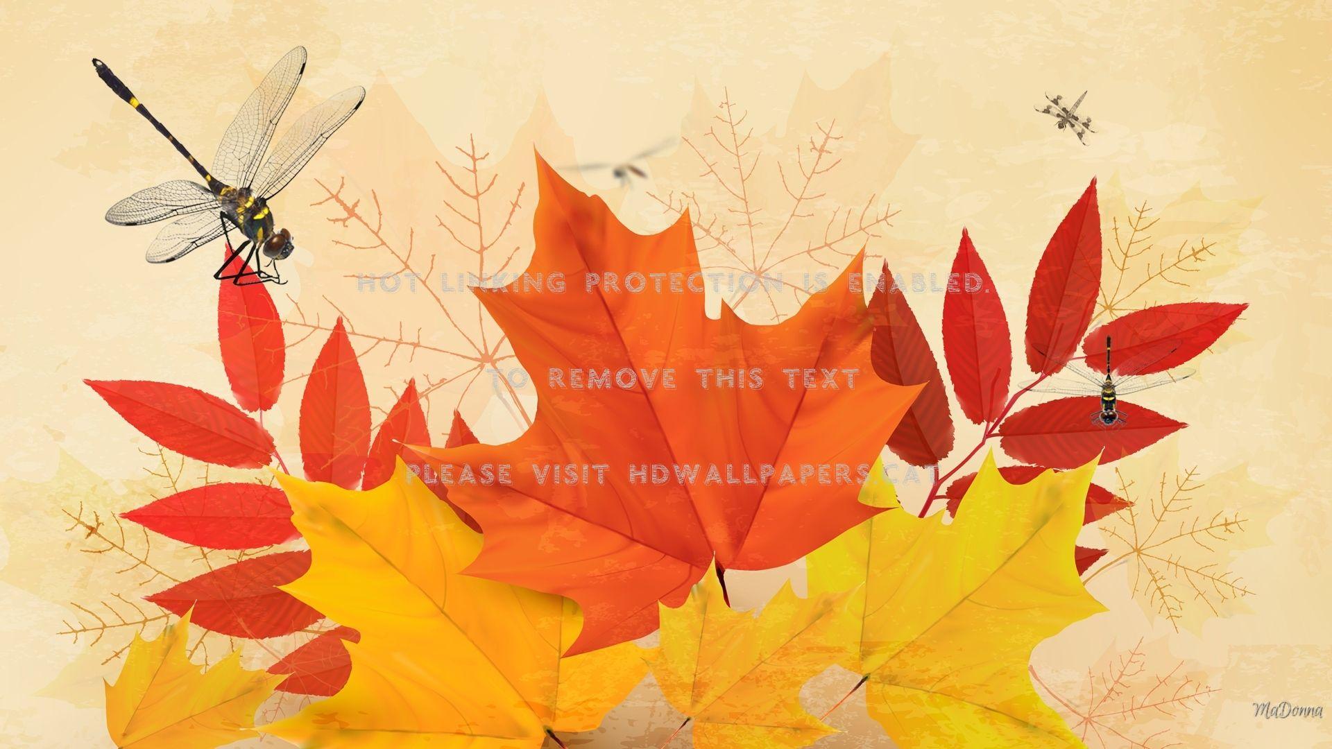 1920x1080 vintage autumn mountain ash fall maple oak