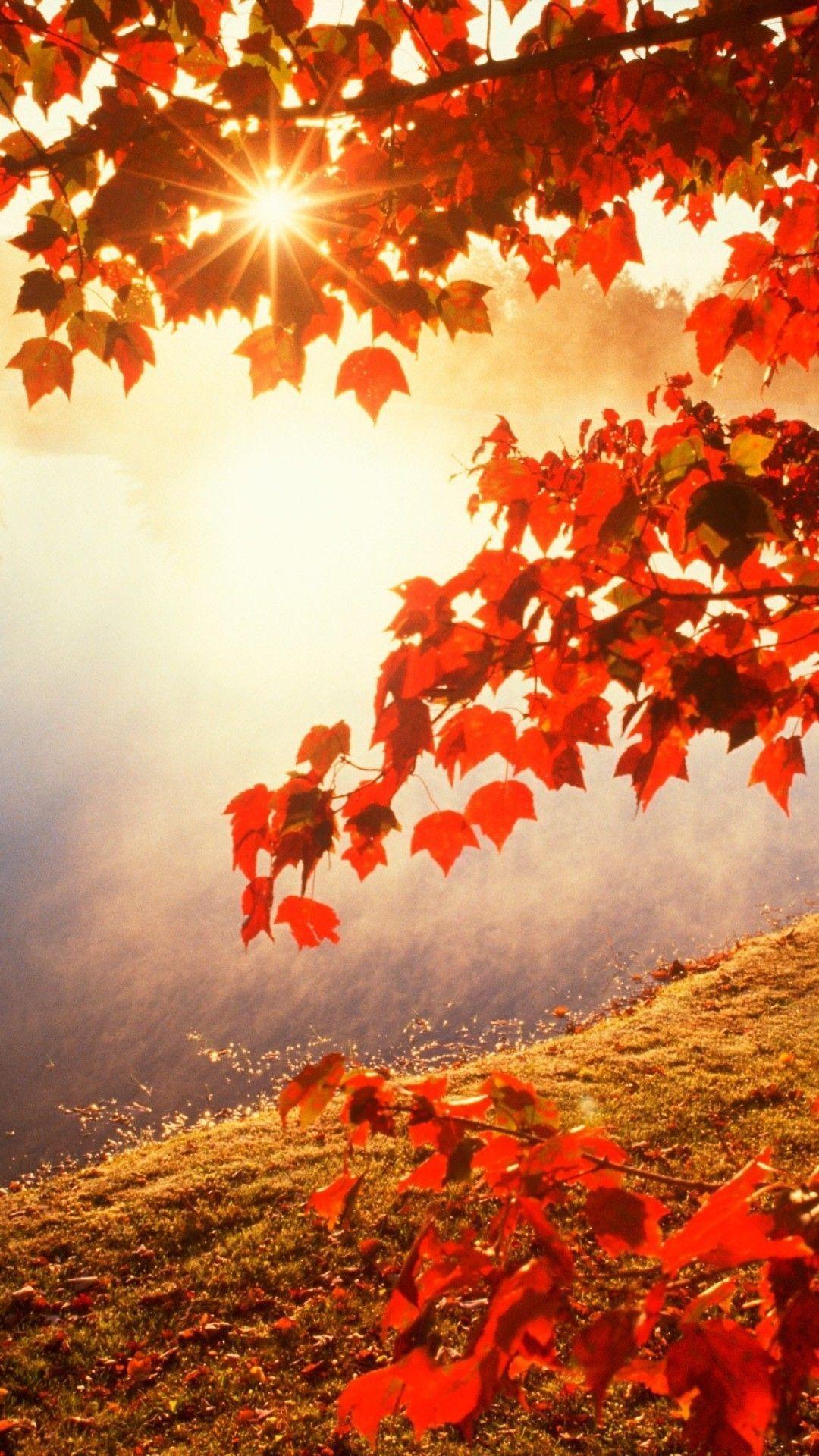 Vintage Autumn Wallpapers - Top Free Vintage Autumn Backgrounds