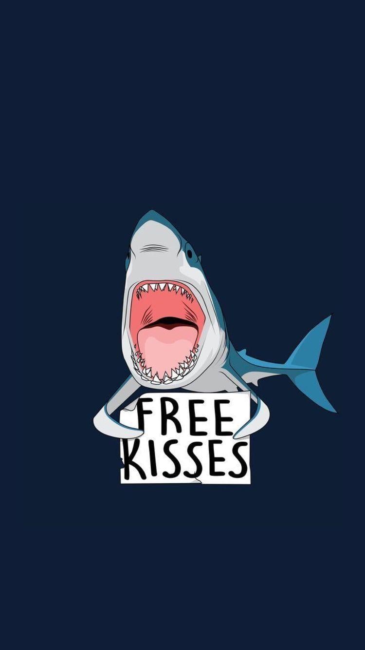 Funny Shark Wallpapers - Top Free Funny Shark Backgrounds - WallpaperAccess