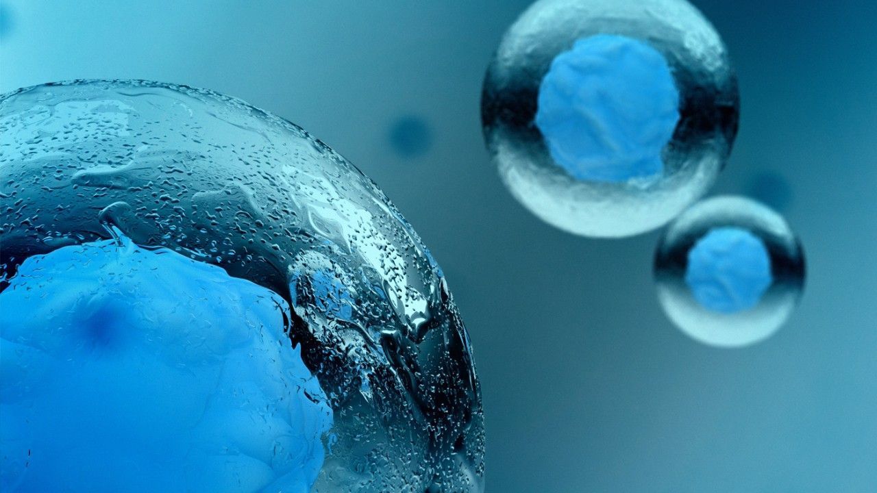 1280x720 Life Science Research
