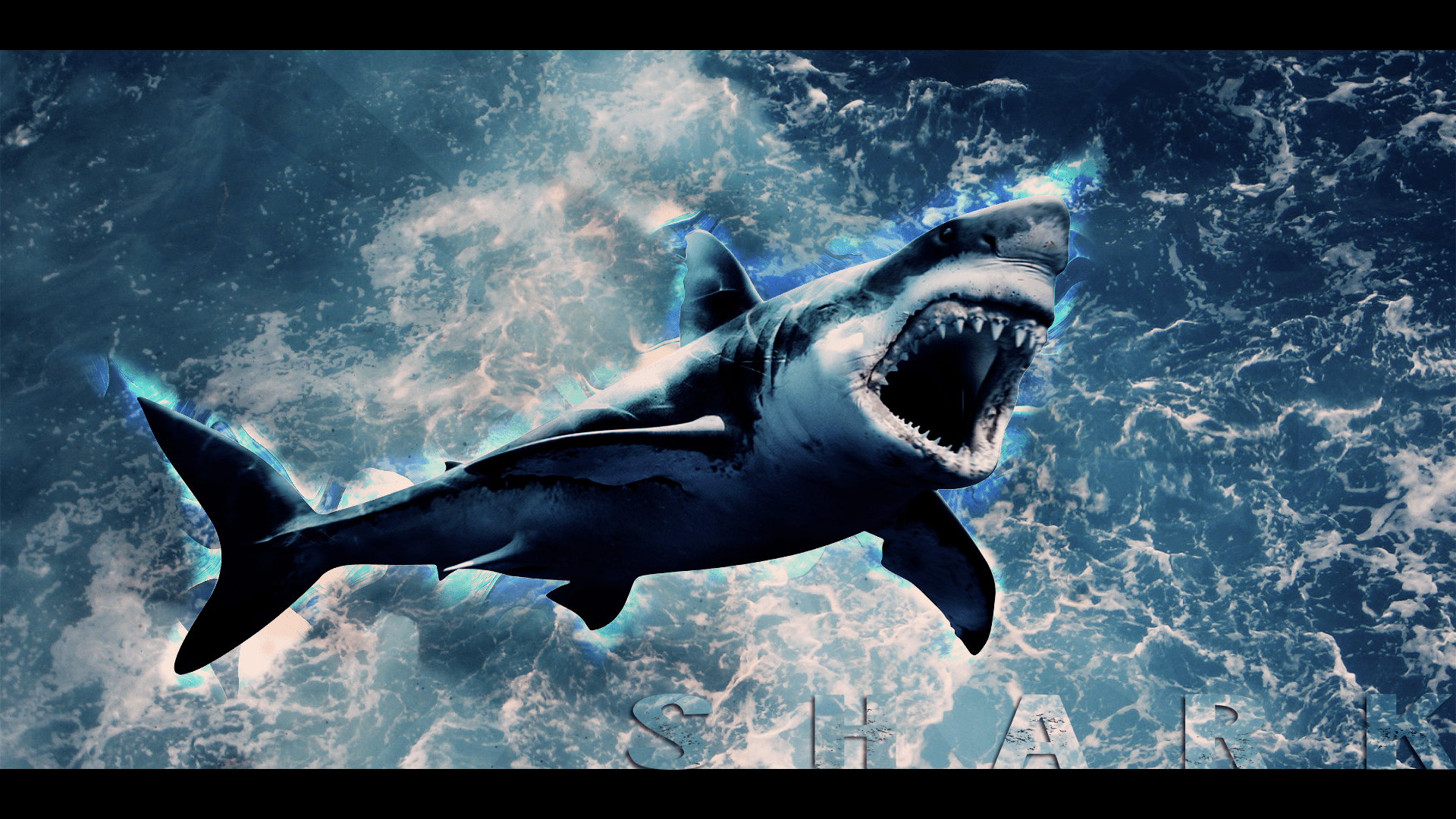 1920x1080 Shark Wallpaper, 34 Shark High Resolution Wallpaper's