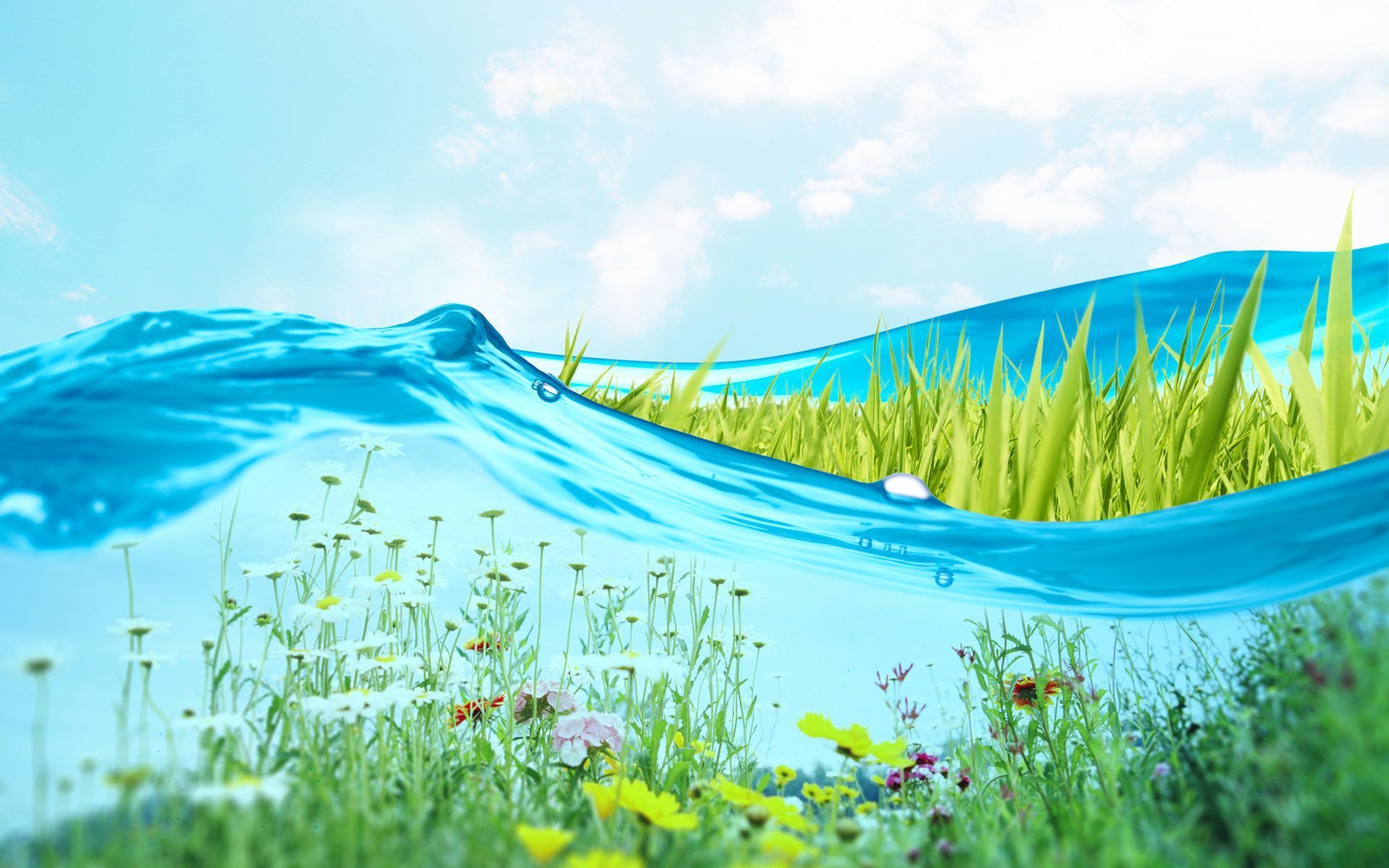 1920x1200 Fresh Green wallpaper Wallpaper