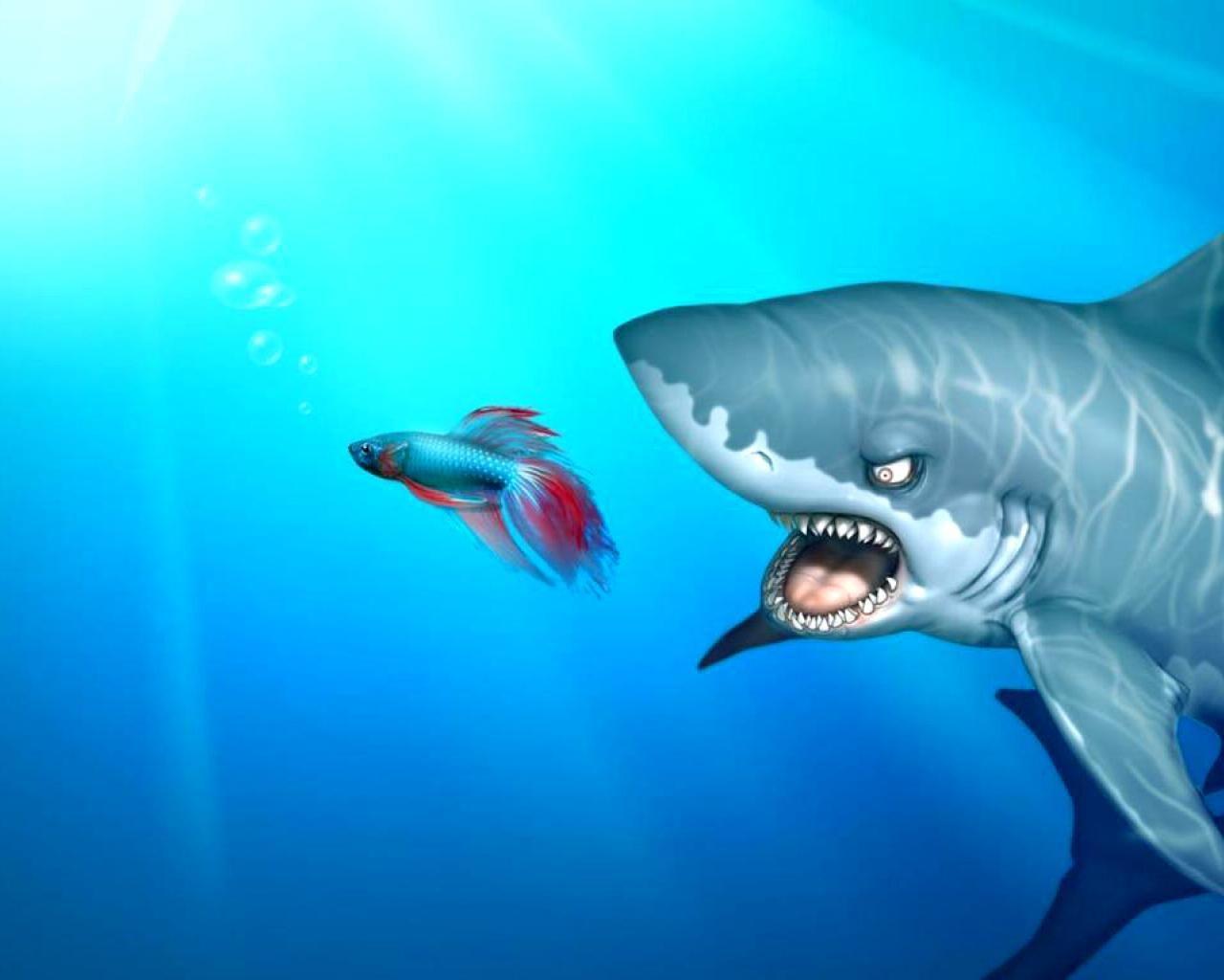 1280x1024 Download 1280x1024 Windows shark funny wild sea animals