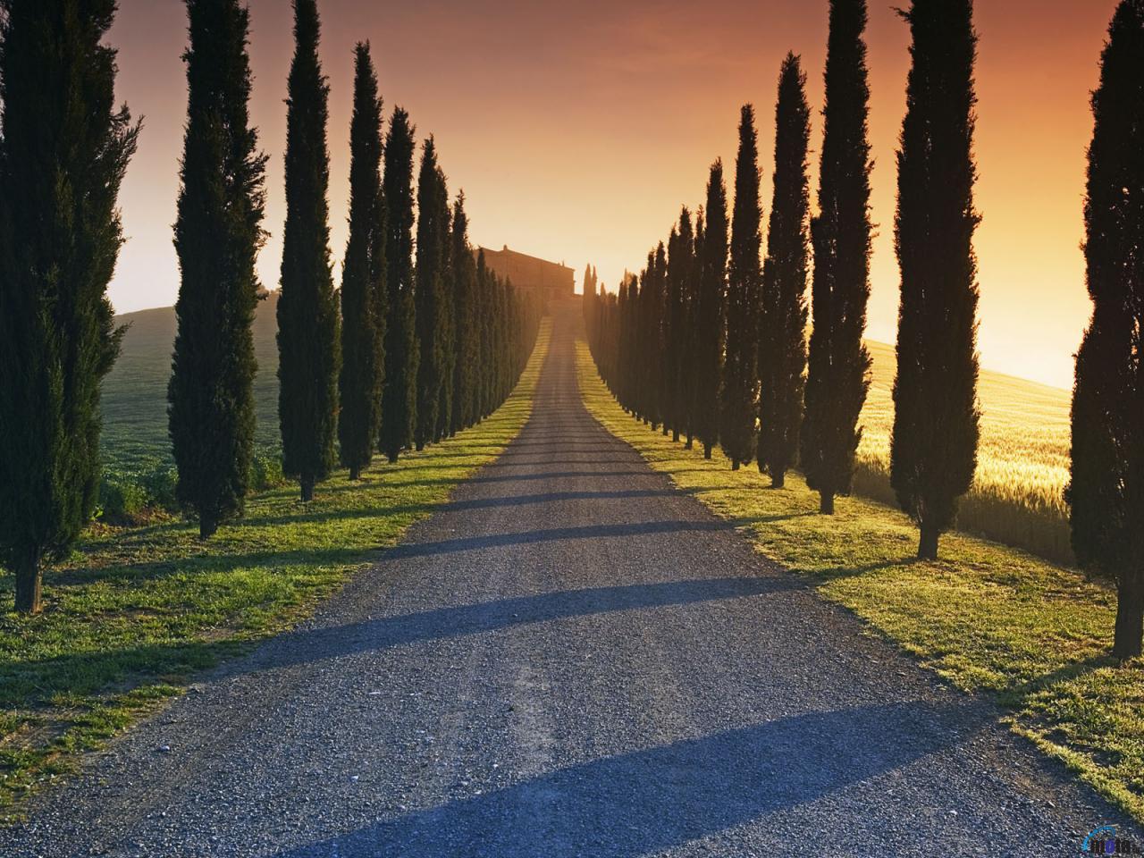 tuscan countryside iPhone Wallpapers Free Download