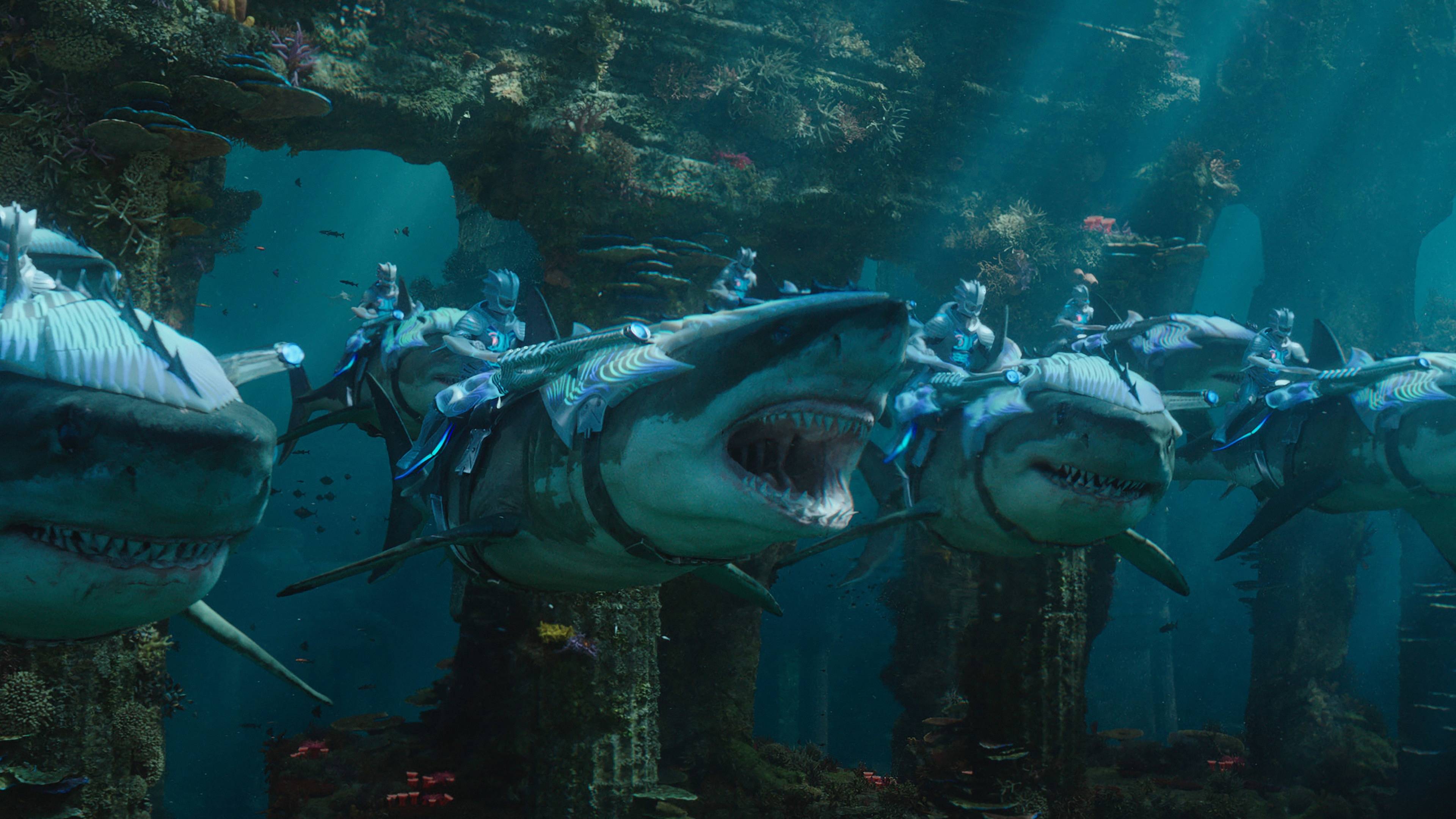 3840x2160 Cá mập trong phim Aquaman 4K