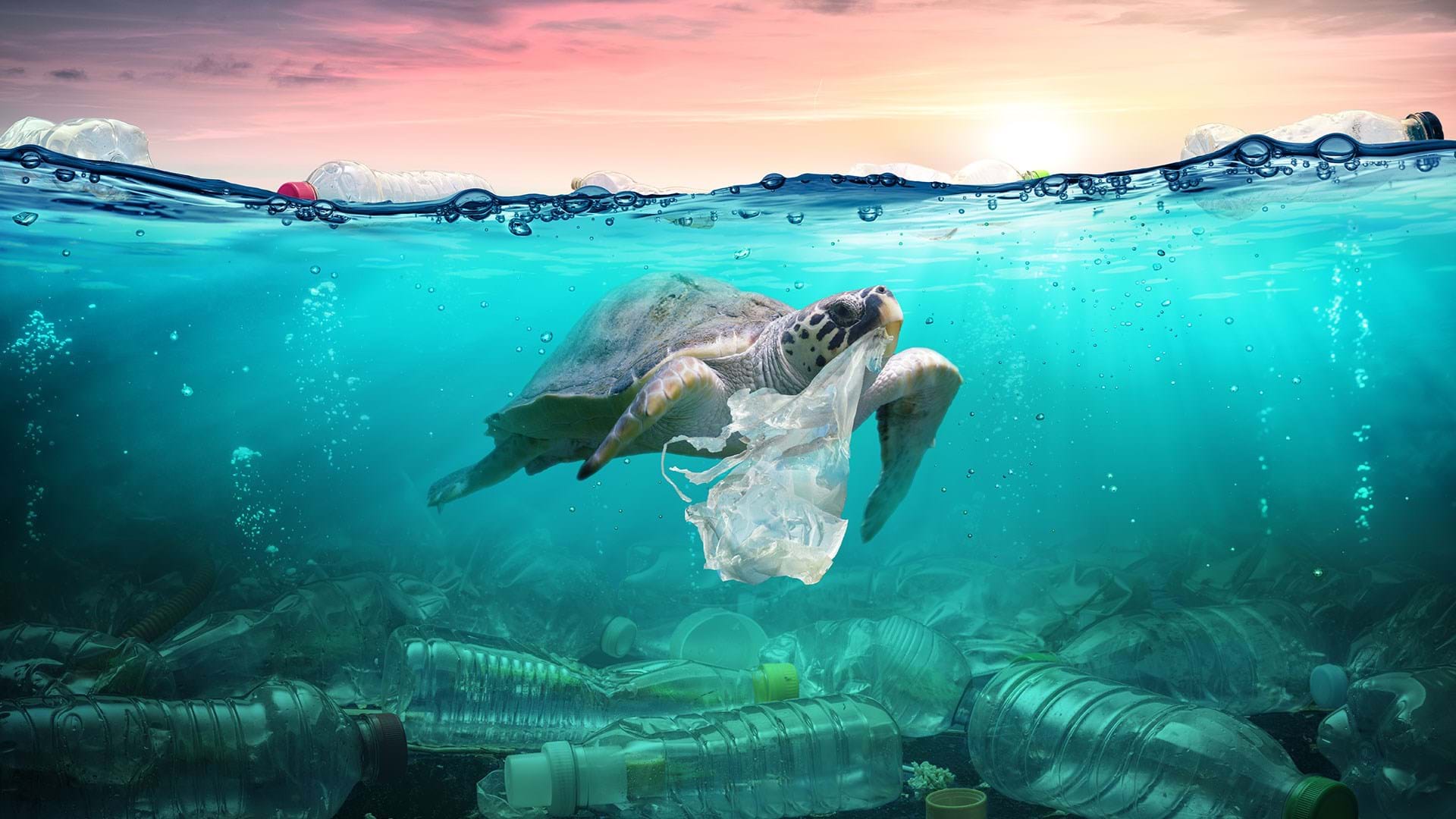 1920x1080 Plastic in the Ocean Statistics